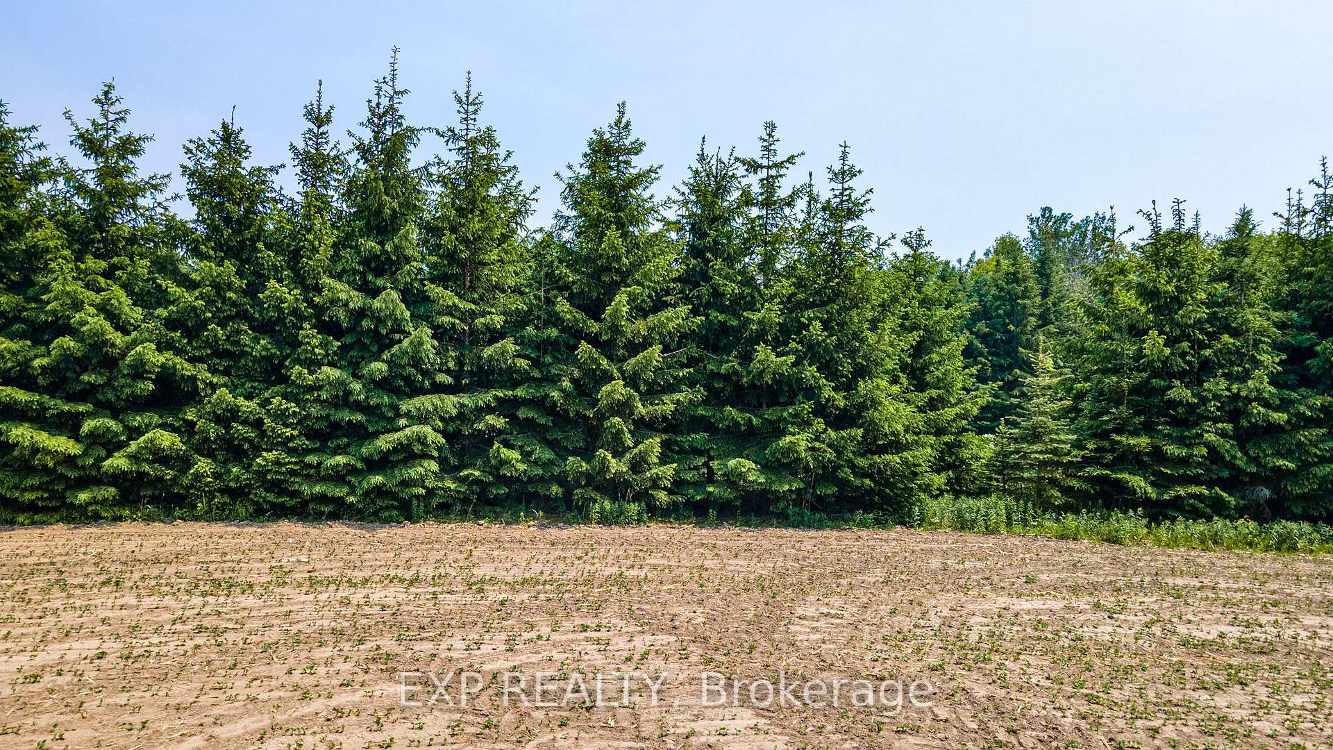 Photo 22 of 7178 HIghway 6, Mapleton, Rural Mapleton — HOMEH
