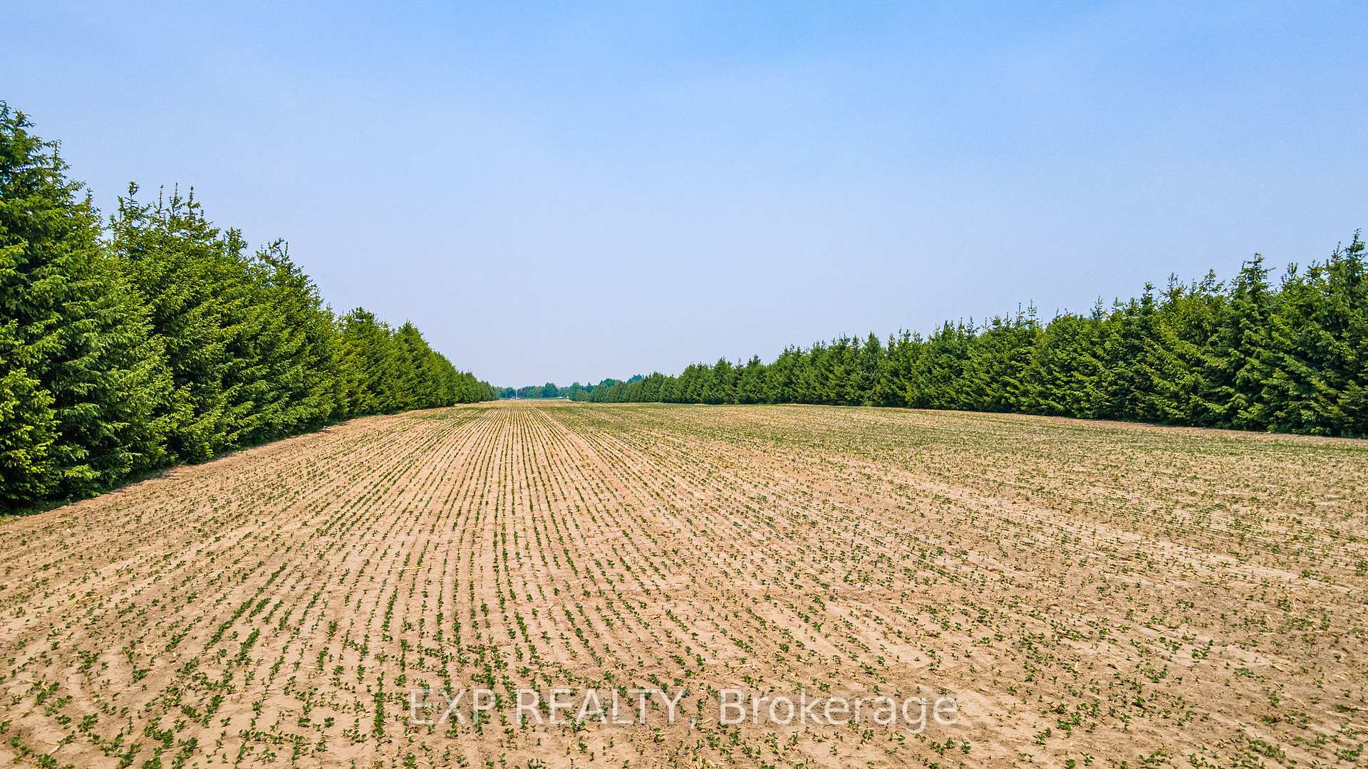 Photo 25 of 7178 HIghway 6, Mapleton, Rural Mapleton — HOMEH
