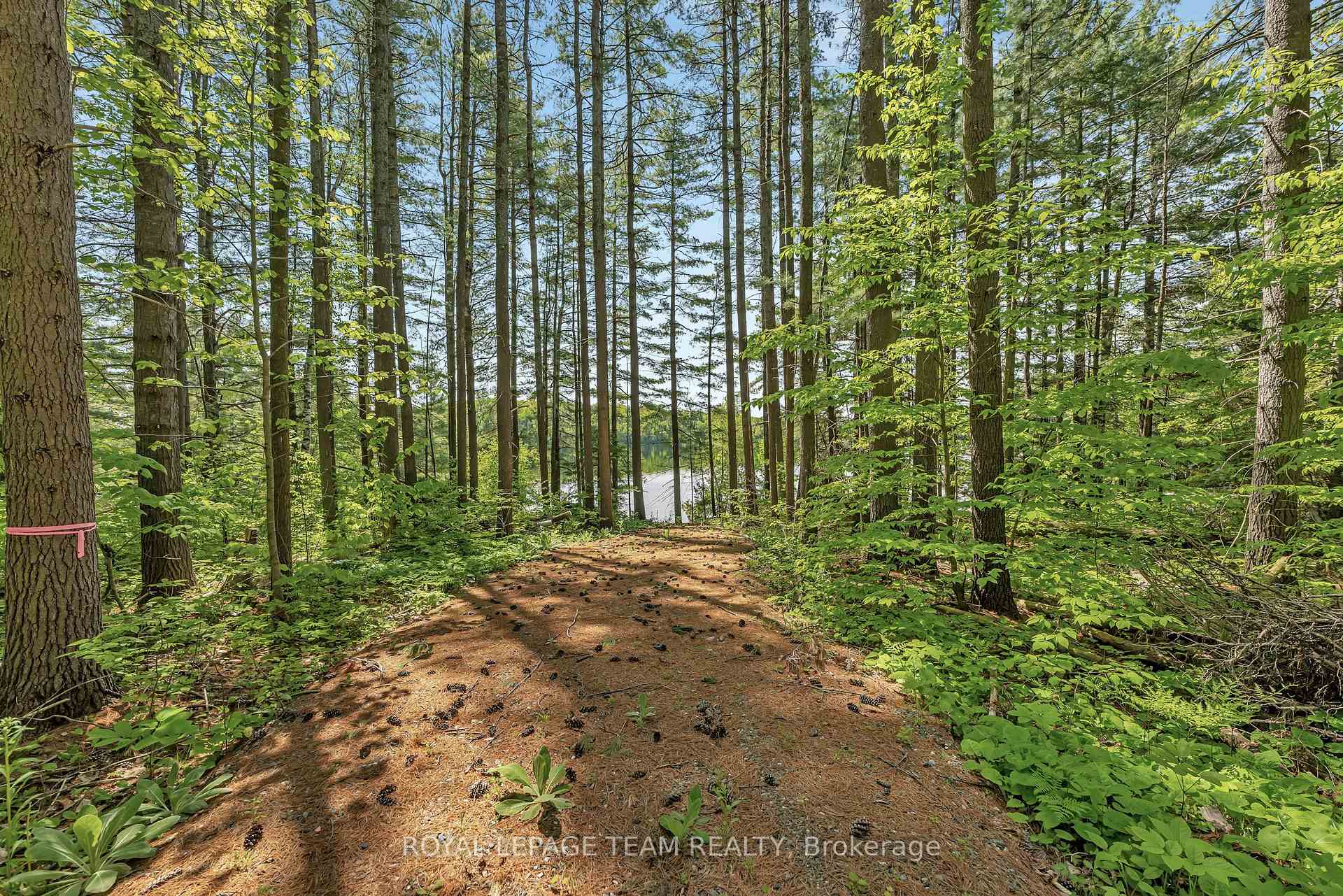 Photo 3 of 1143 Wabalac Road, Lanark Highlands, Lanark Highlands (Darling) Twp — HOMEH
