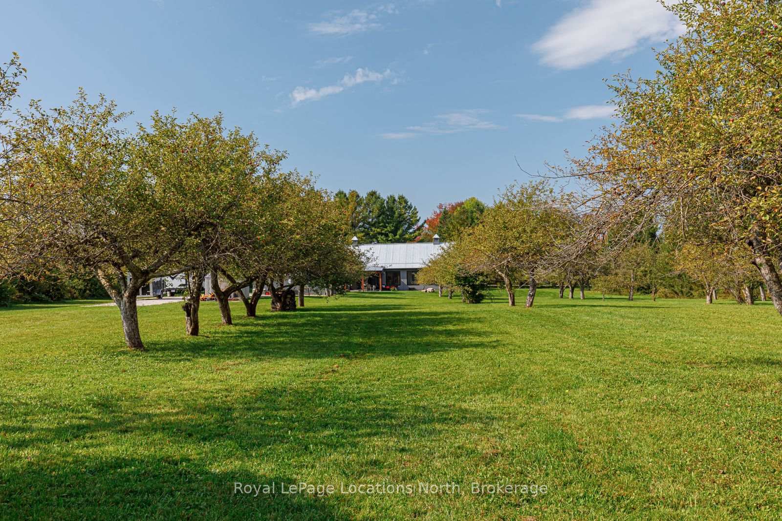 Photo 40 of 195 Centre Street, Meaford — HOMEH