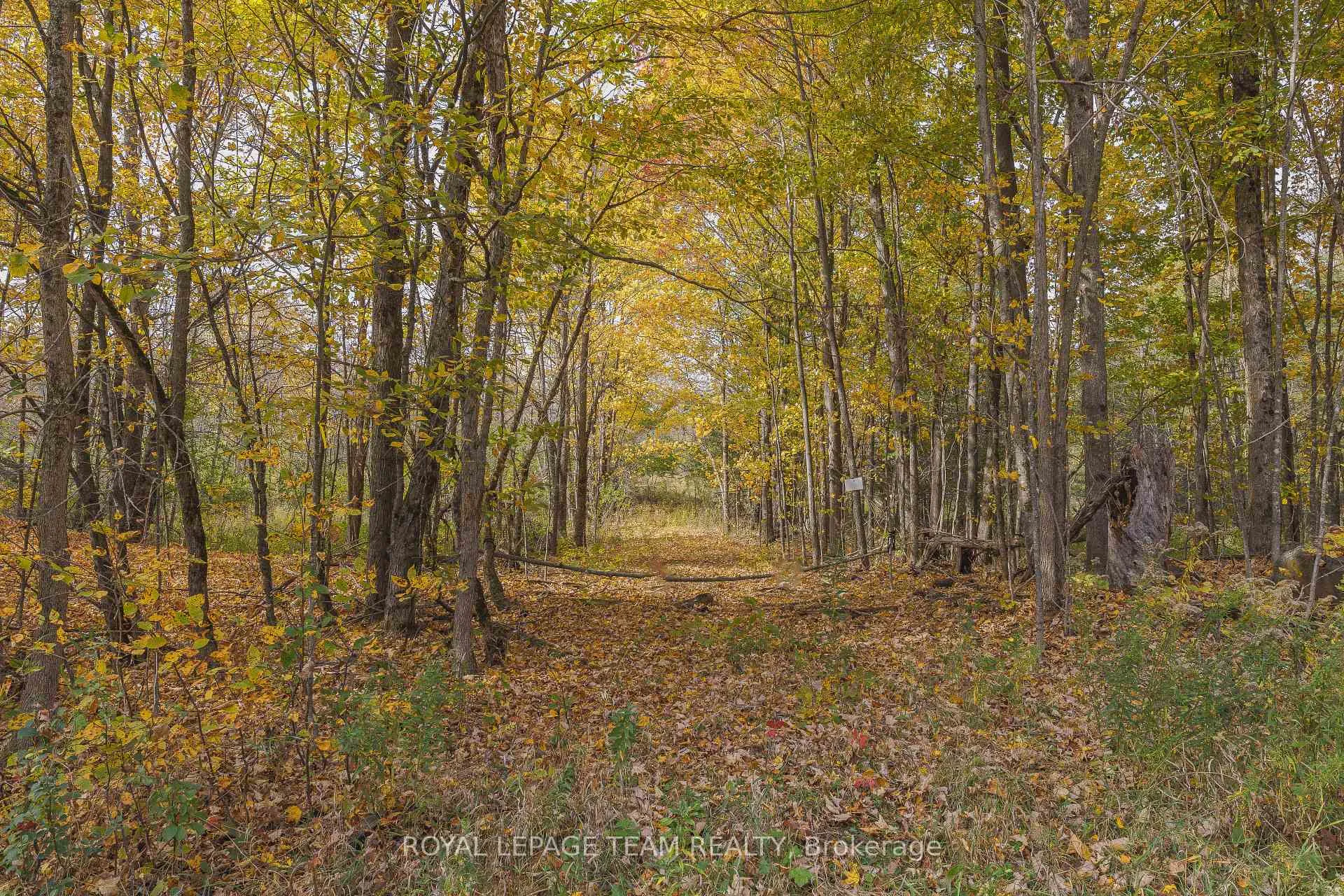 Photo 3 of Lot 7 10th Concession B Road, Lanark Highlands, Lanark Highlands (Lanark) Twp — HOMEH