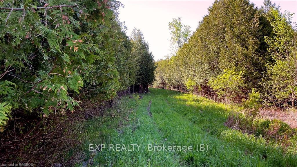 Photo 7 of 557329 4TH Concession S, Meaford — HOMEH