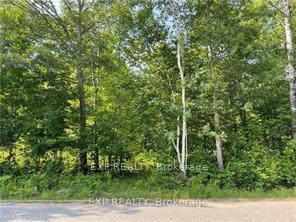 Front of Lot C Parcher Road