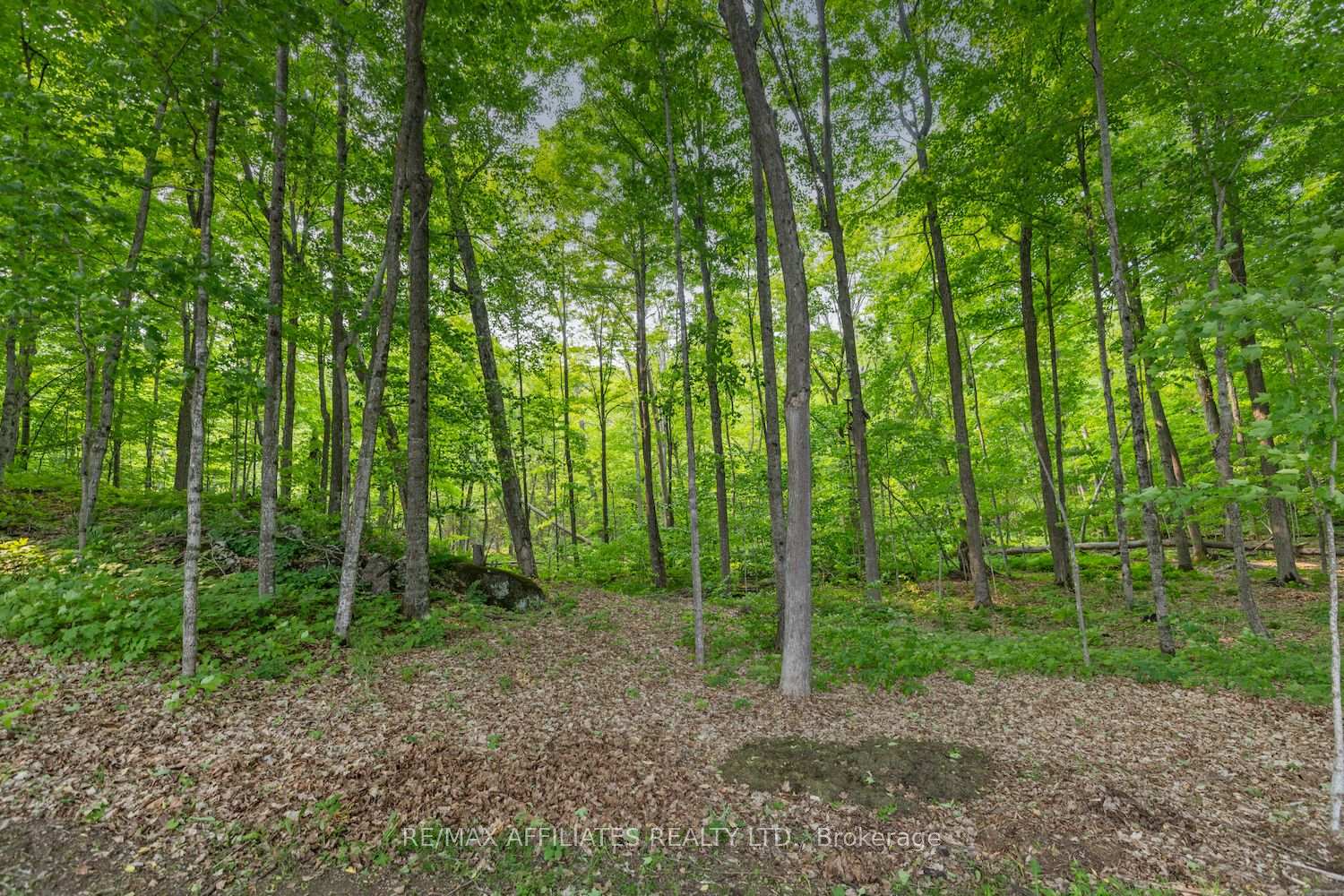 Photo 34 of 234 Boyds Road, Lanark Highlands, Lanark Highlands (Lanark) Twp — HOMEH