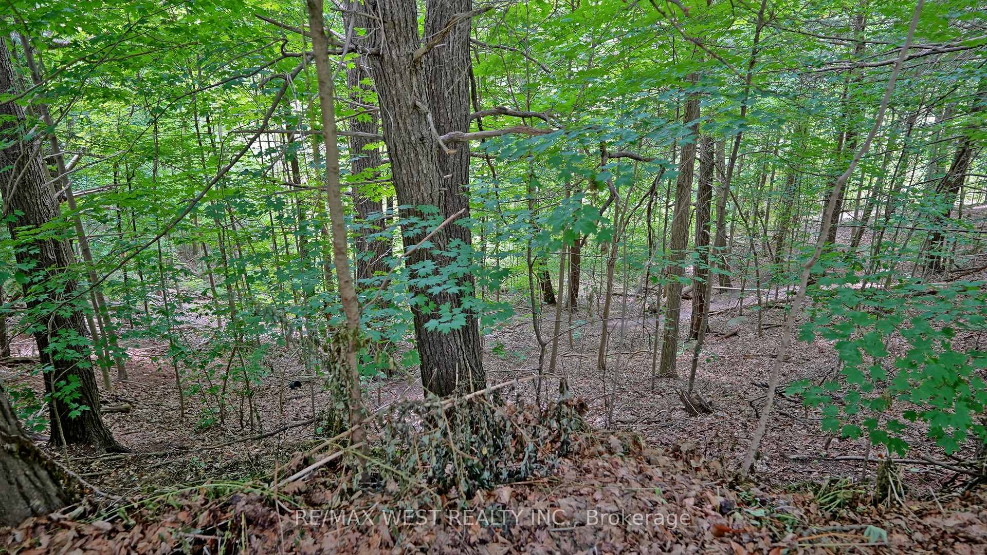 Photo 44 of 59 Lambert Road, Markham, Thornlea — HOMEH