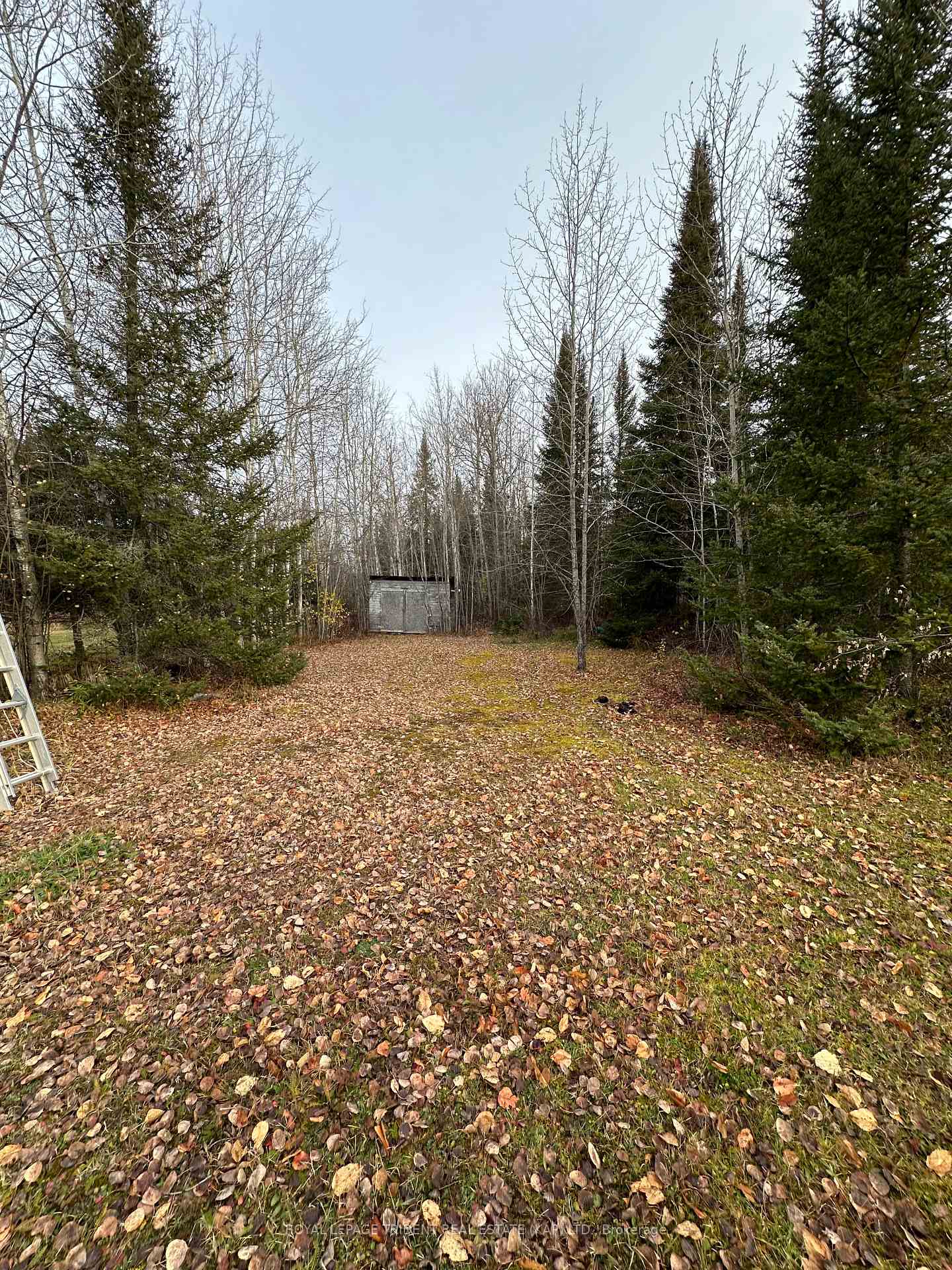 Photo 3 of 109 Mitchell Road E, Kapuskasing — HOMEH