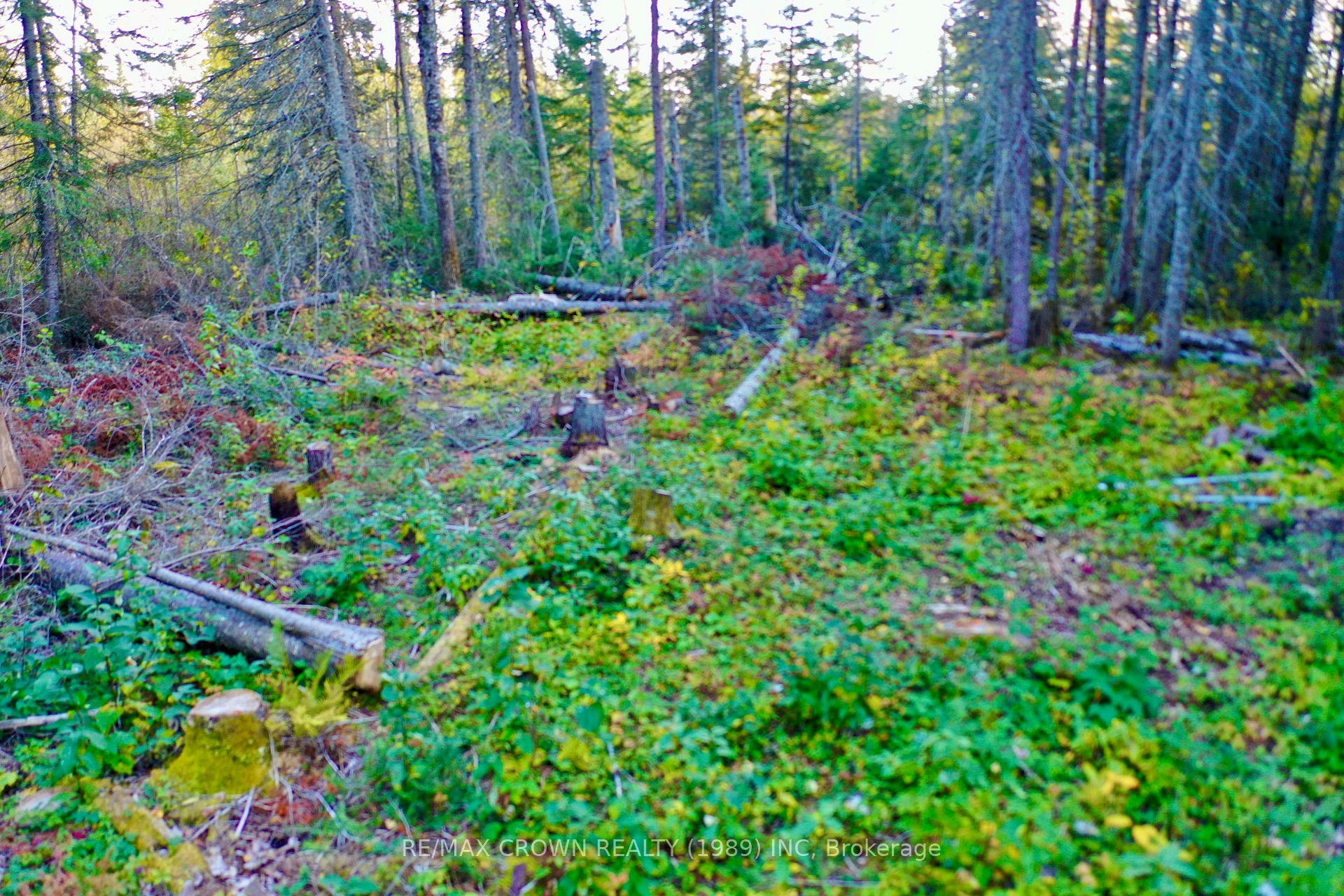 Photo 18 of 392 Highway 11, Kapuskasing — HOMEH