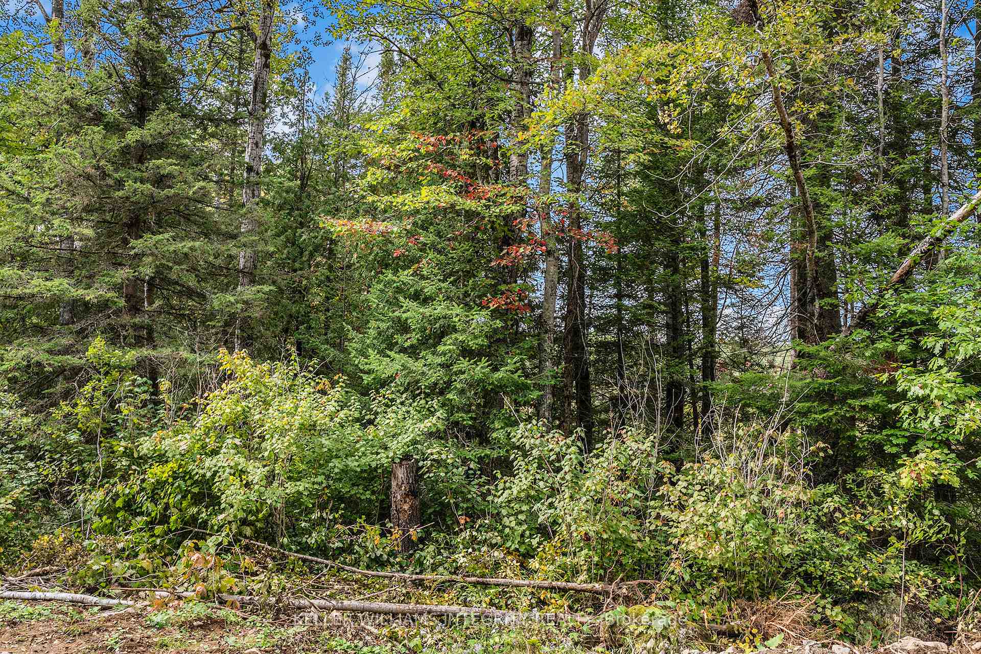 Photo 40 of L14,15 Triple Tower Road, Lanark Highlands, Lanark Highlands (Lavant) Twp — HOMEH