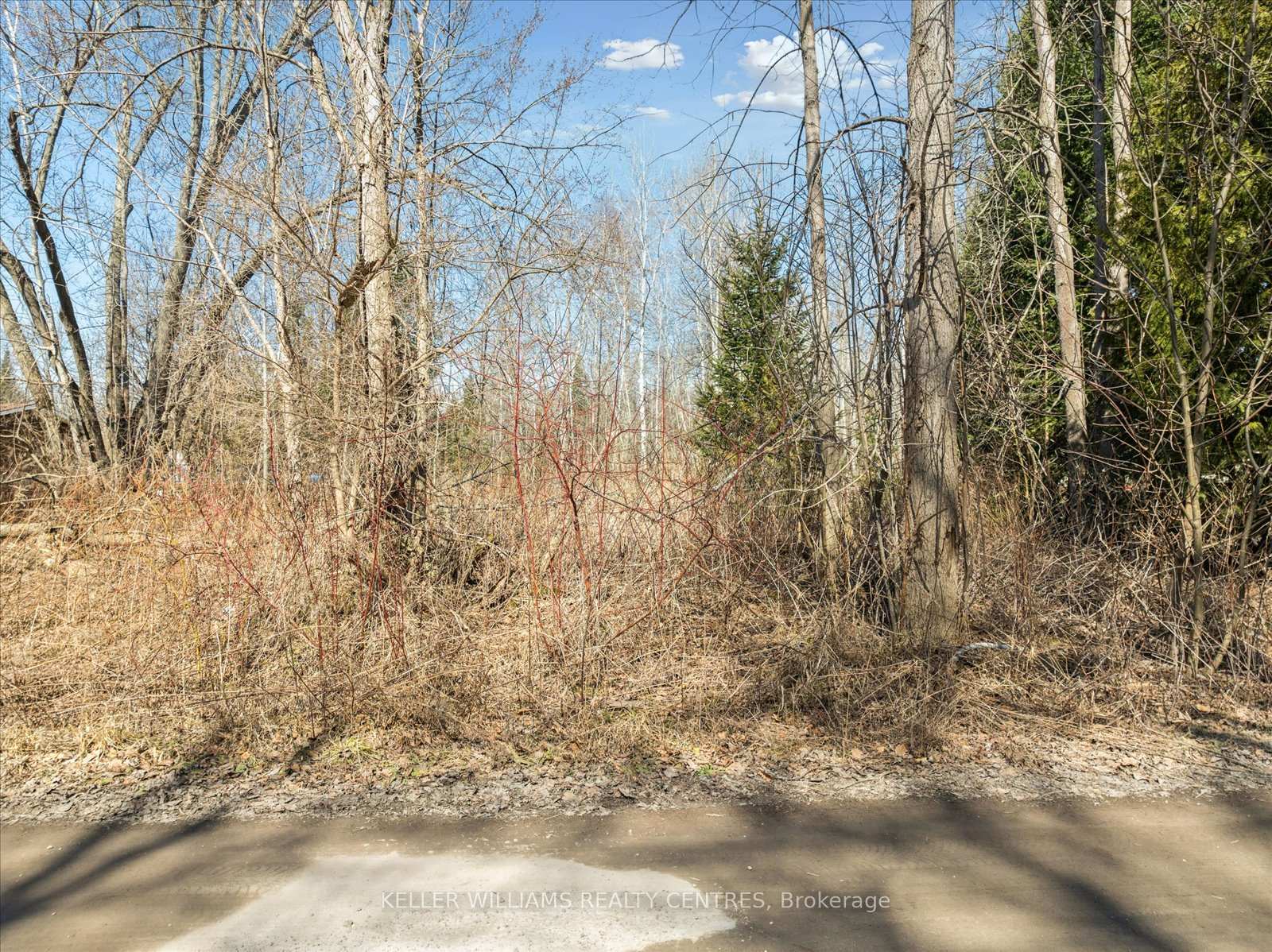 Photo 11 of 180 Lloyd's Lane, King, Pottageville — HOMEH
