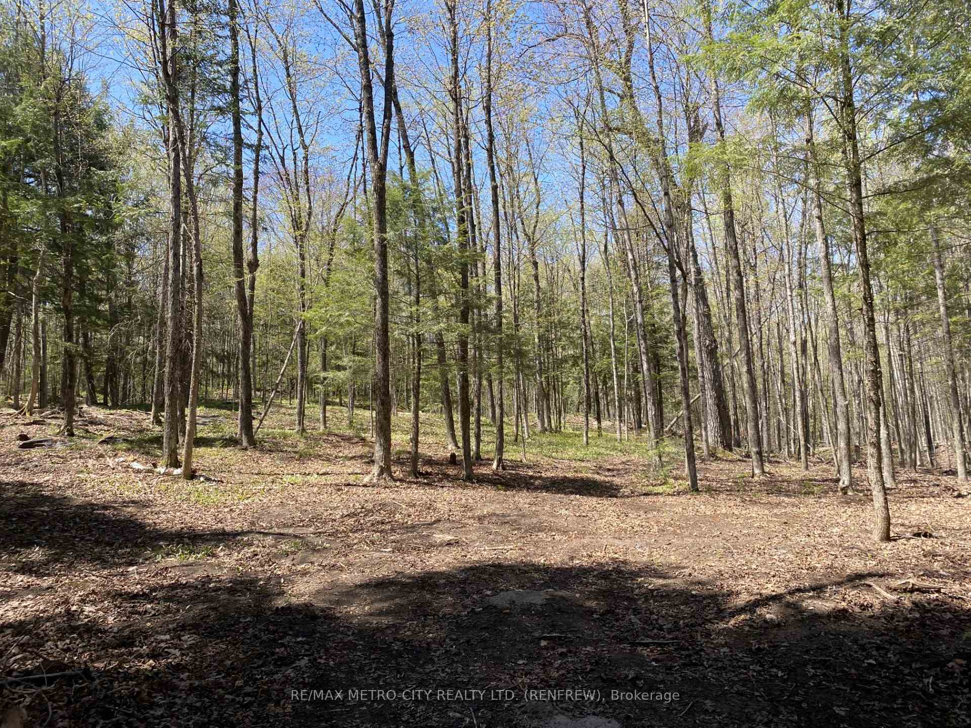 Photo 3 of 672 Calabogie Road, McNab/Braeside, Mcnab/Braeside Twps — HOMEH