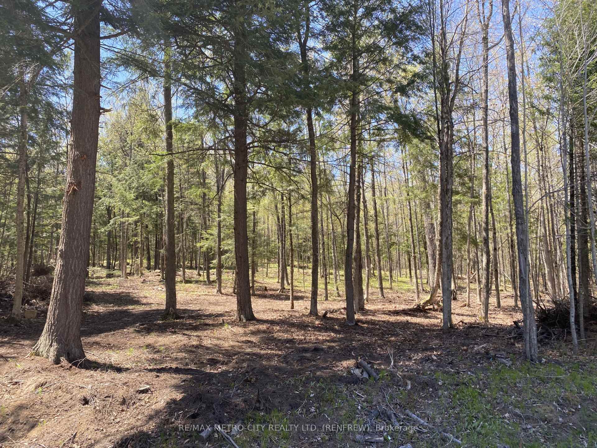 Photo 5 of 672 Calabogie Road, McNab/Braeside, Mcnab/Braeside Twps — HOMEH
