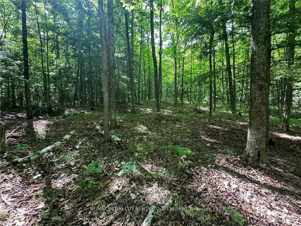 Photo 7 of 672 Calabogie Road, McNab/Braeside, Mcnab/Braeside Twps — HOMEH