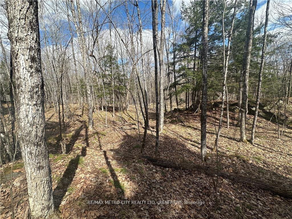 Photo 8 of 672 Calabogie Road, McNab/Braeside, Mcnab/Braeside Twps — HOMEH