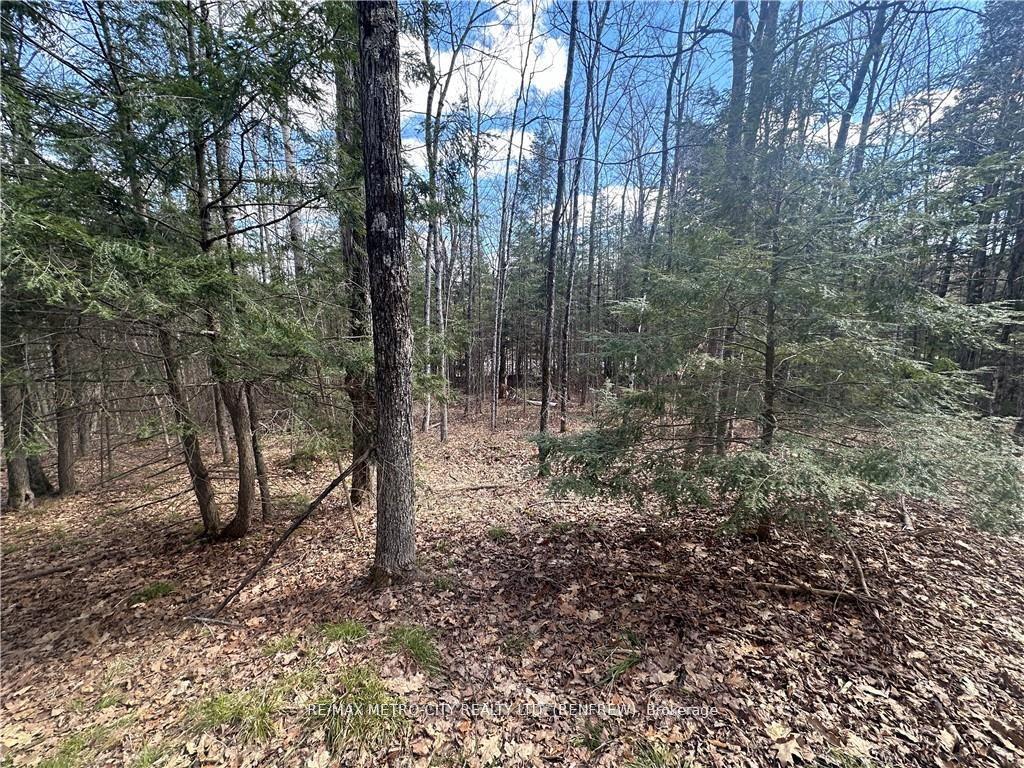 Photo 9 of 672 Calabogie Road, McNab/Braeside, Mcnab/Braeside Twps — HOMEH
