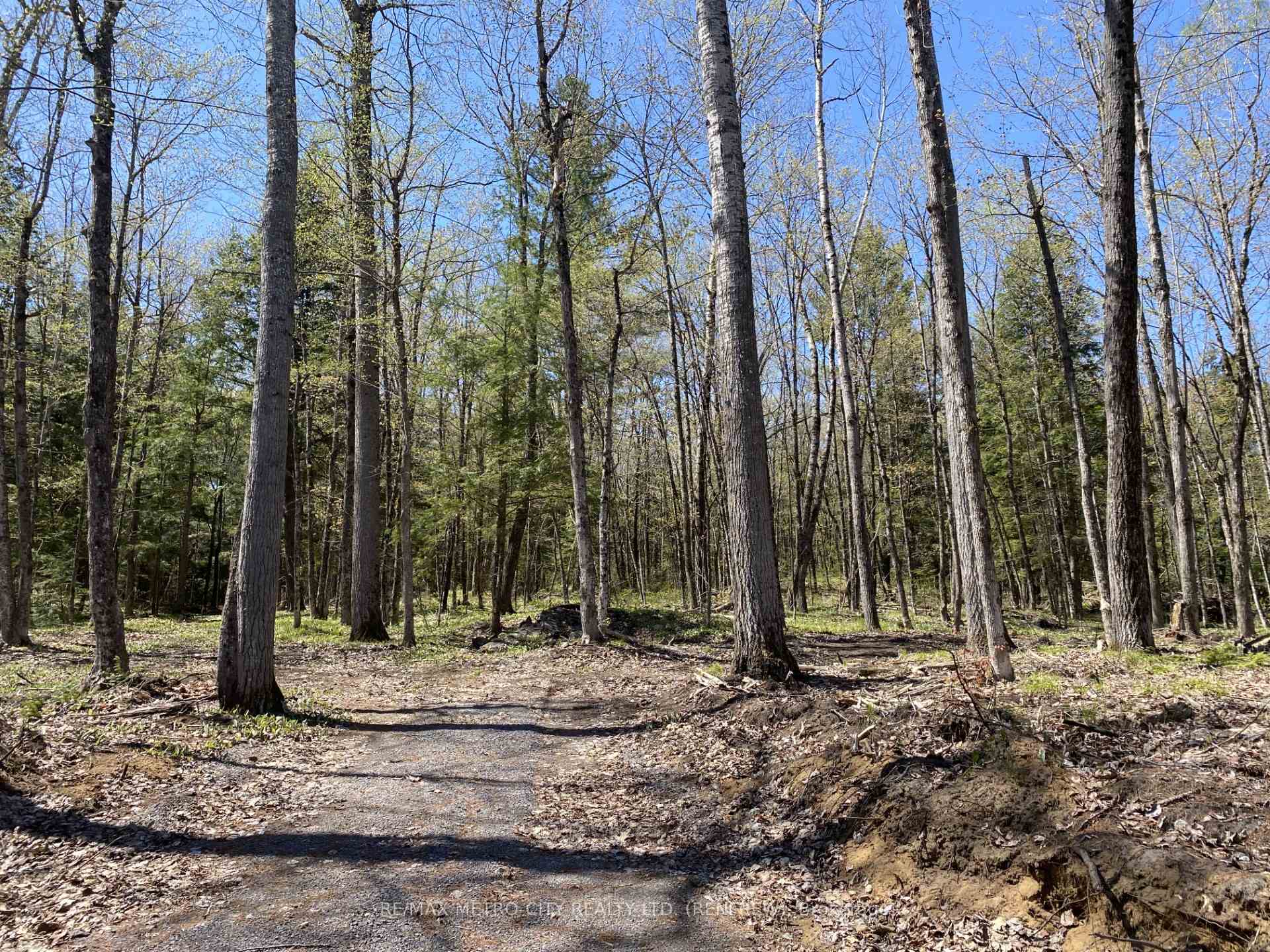 Photo 1 of 00 Calabogie Road, McNab/Braeside, Mcnab/Braeside Twps — HOMEH
