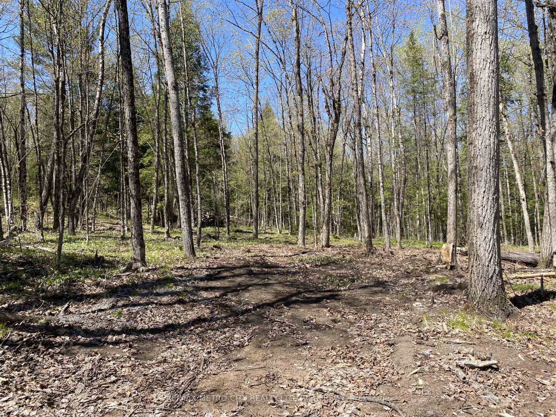 Photo 4 of 00 Calabogie Road, McNab/Braeside, Mcnab/Braeside Twps — HOMEH