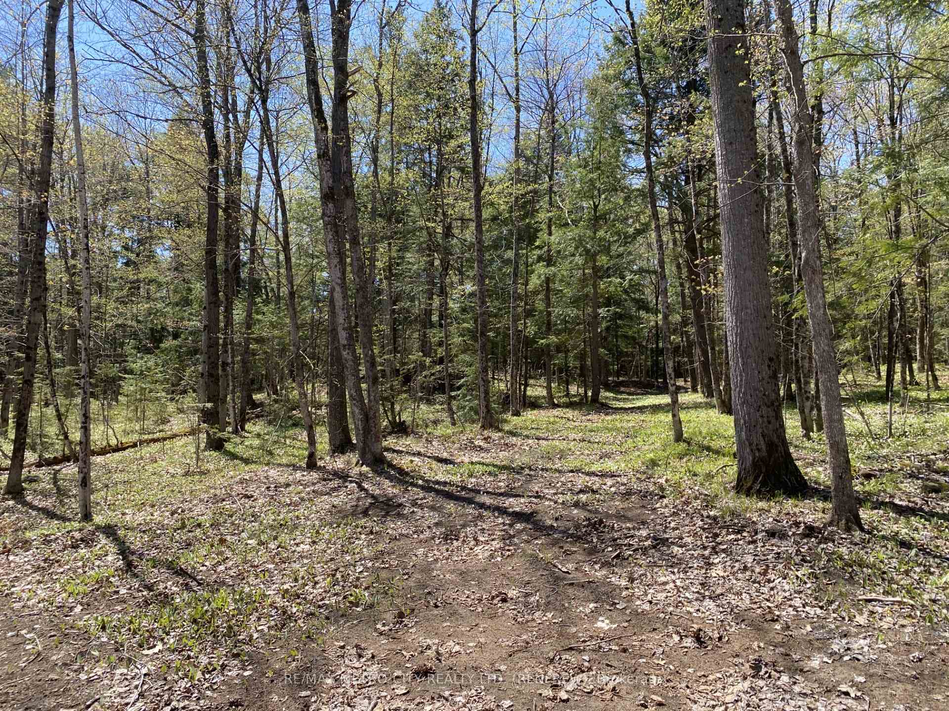 Photo 5 of 00 Calabogie Road, McNab/Braeside, Mcnab/Braeside Twps — HOMEH