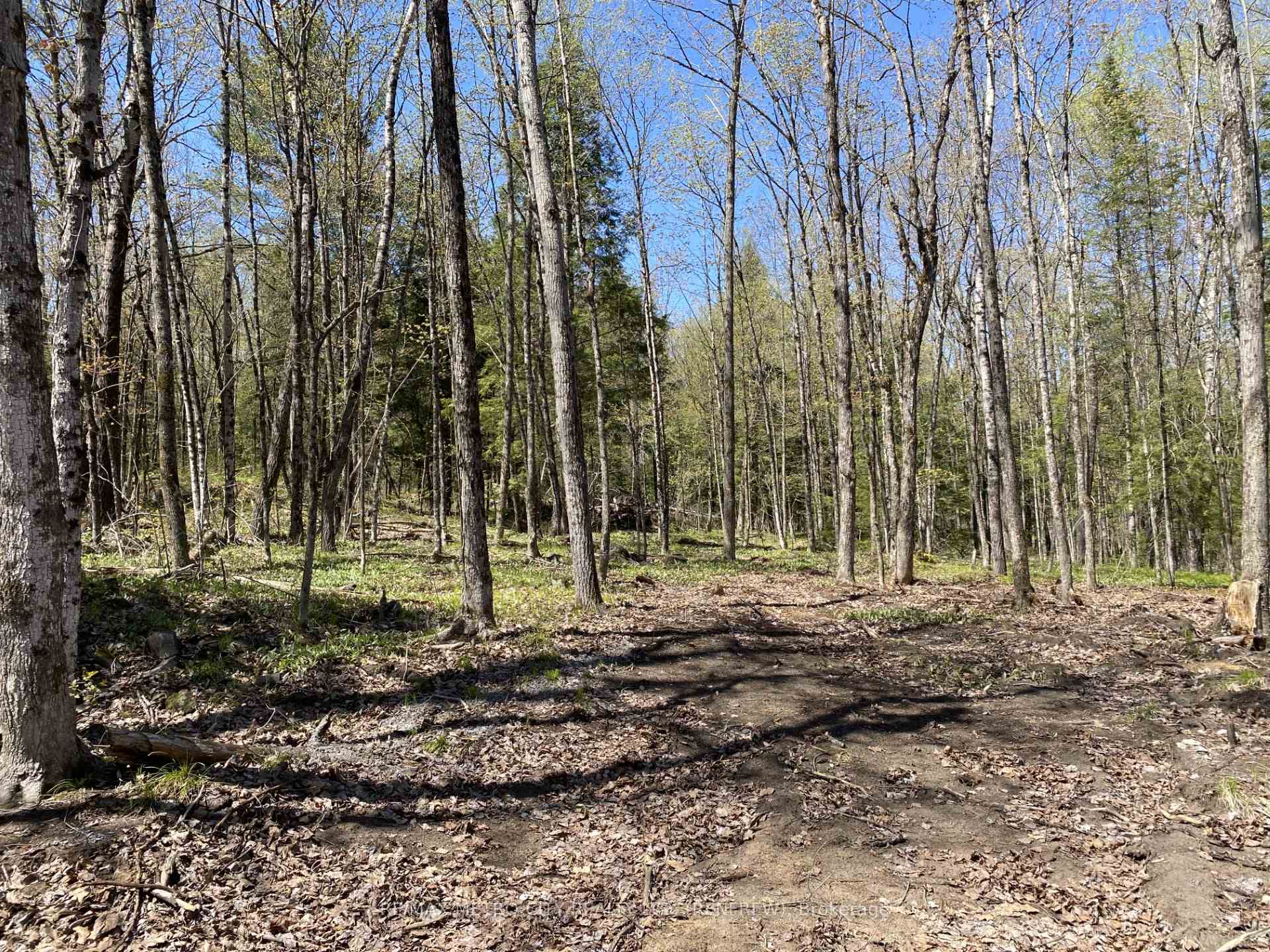 Photo 6 of 00 Calabogie Road, McNab/Braeside, Mcnab/Braeside Twps — HOMEH