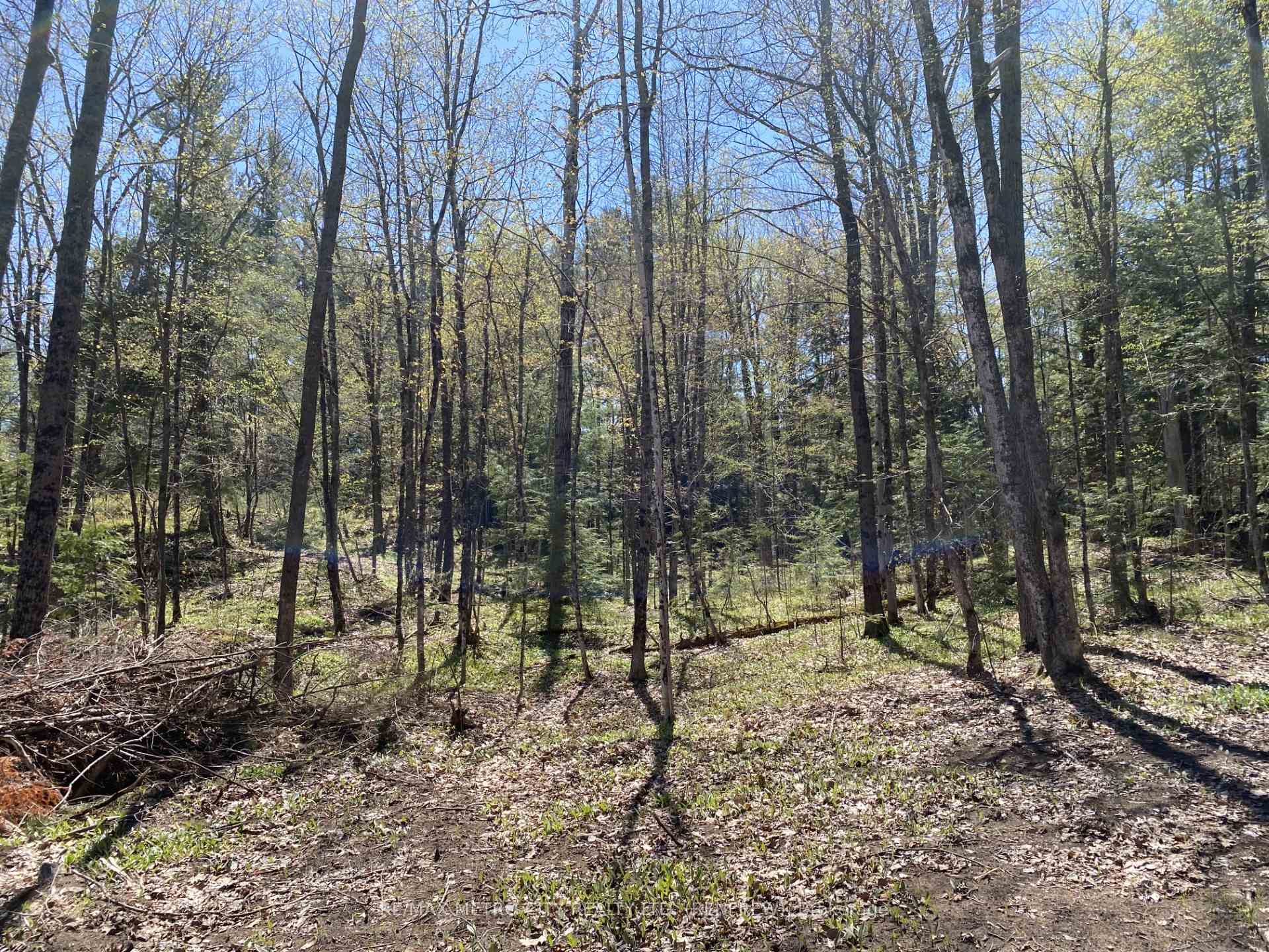 Photo 7 of 00 Calabogie Road, McNab/Braeside, Mcnab/Braeside Twps — HOMEH