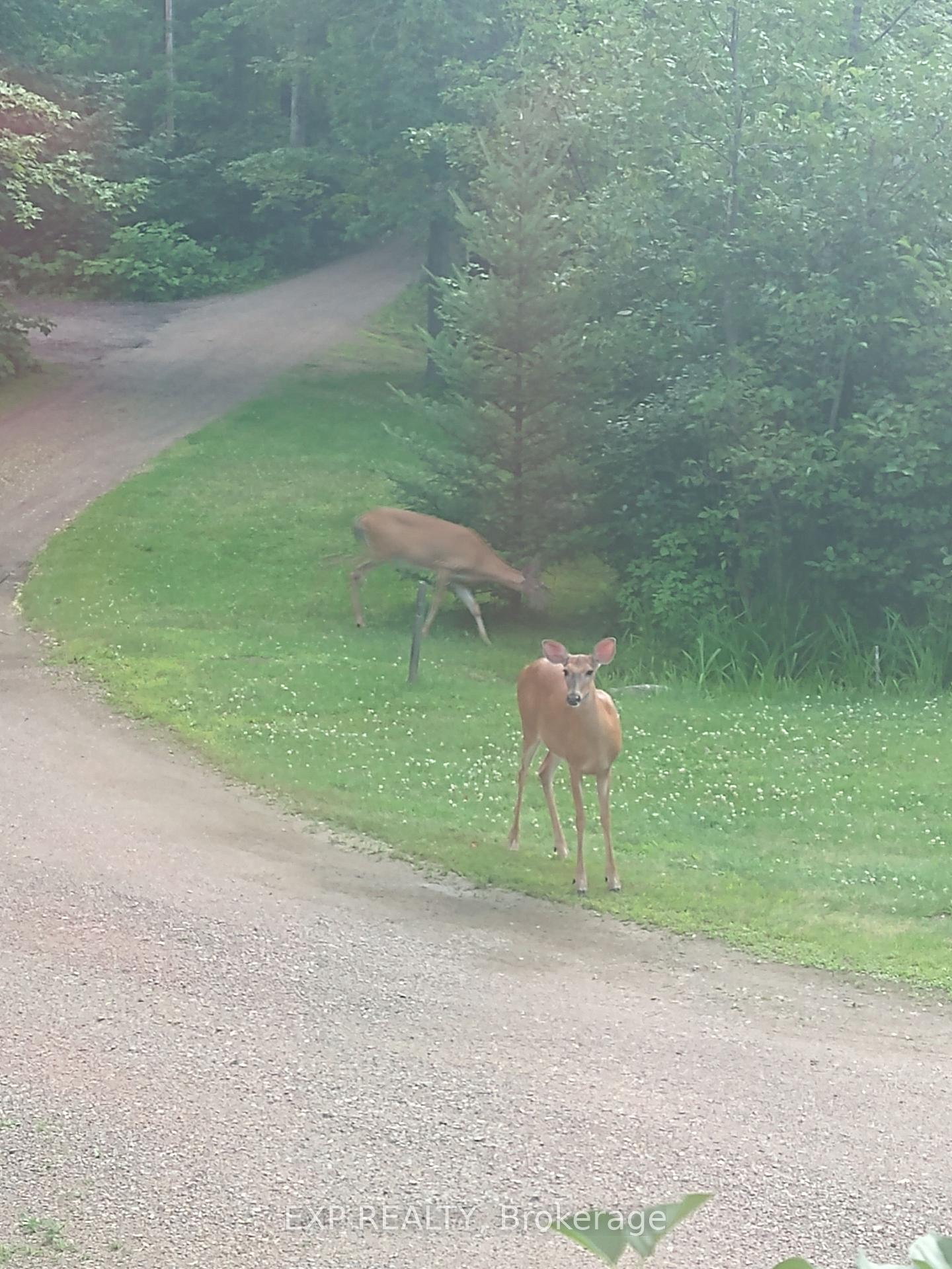 Photo 14 of 61 C Blackfish Bay Road, Madawaska Valley, Madawaska Valley — HOMEH