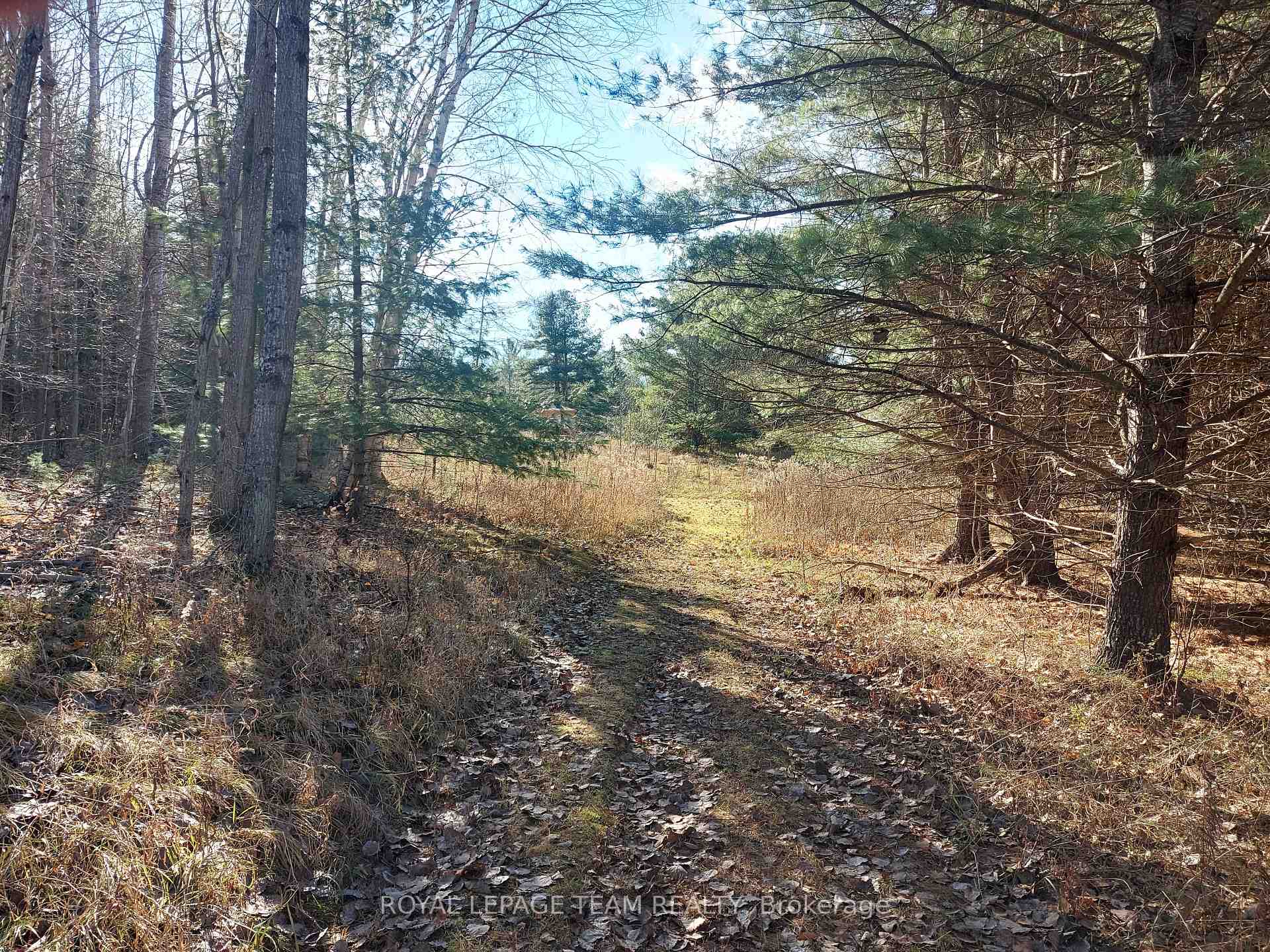 Photo 7 of 789 Lavant Mill Road, Lanark Highlands, Lanark Highlands (Dalhousie) Twp — HOMEH