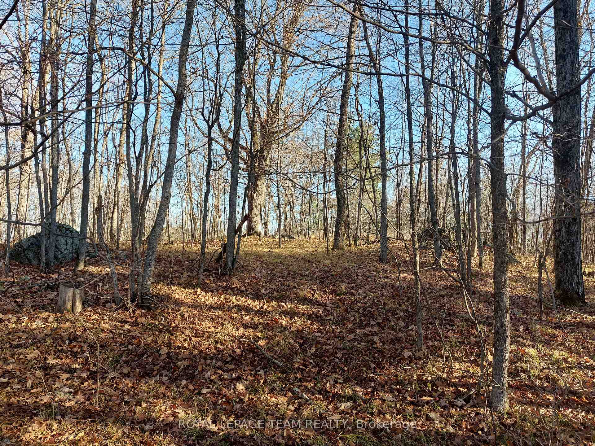 Photo 8 of 789 Lavant Mill Road, Lanark Highlands, Lanark Highlands (Dalhousie) Twp — HOMEH