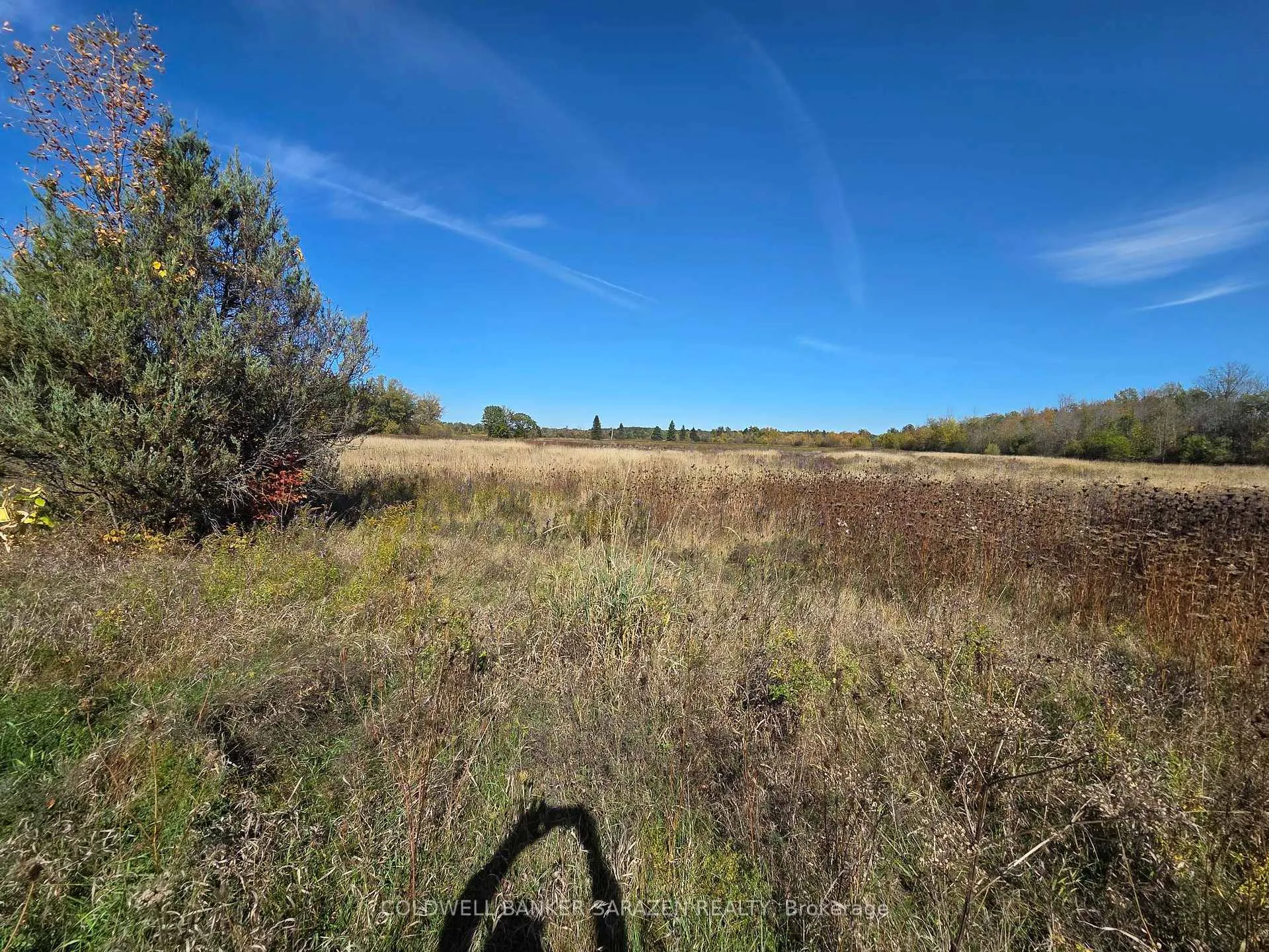Photo 15 of 5907 Second Line Road E, Ottawa, Manotick South to Roger Stevens — HOMEH