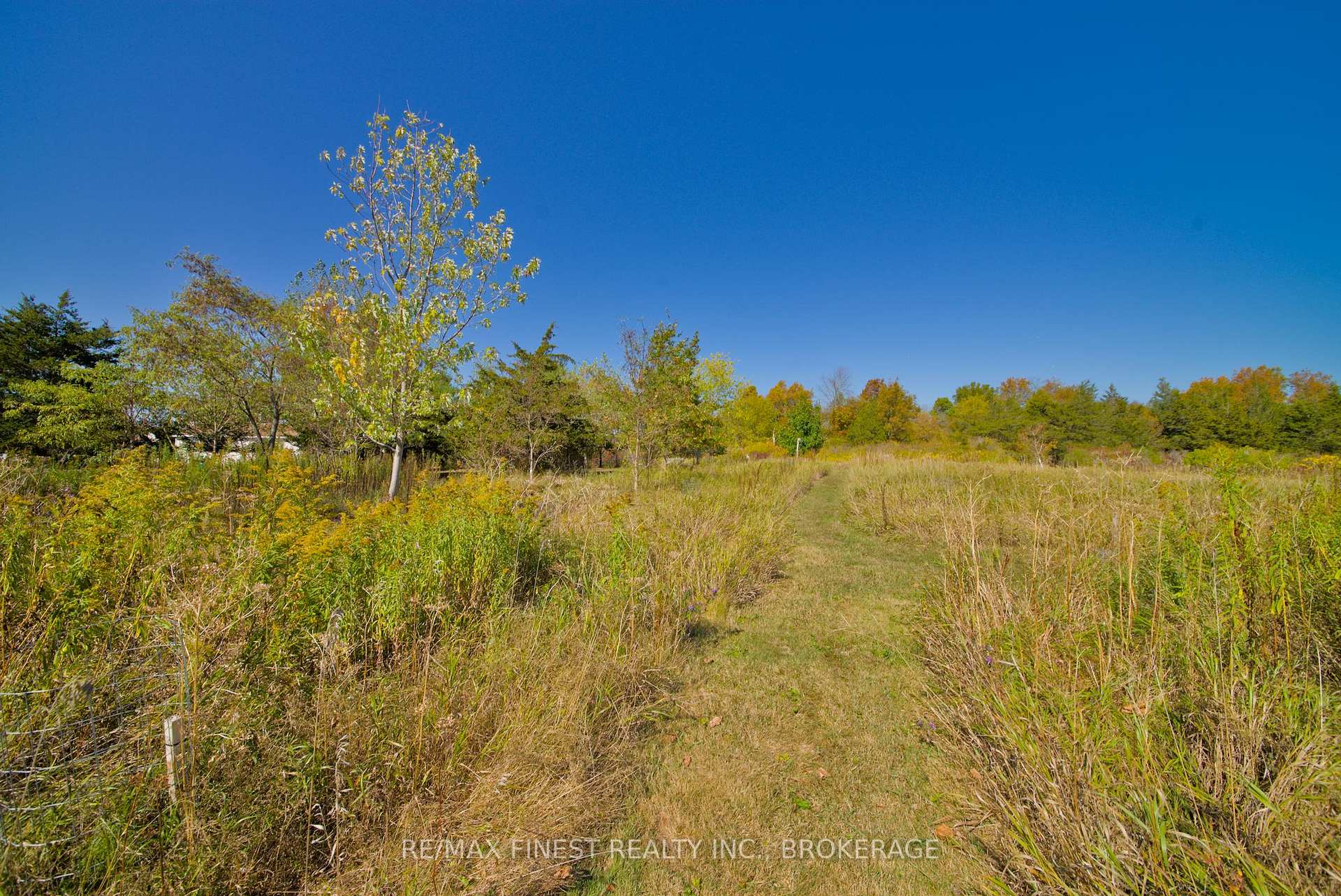 Photo 6 of 8300 Front Road, Loyalist, Lennox and Addington - South — HOMEH