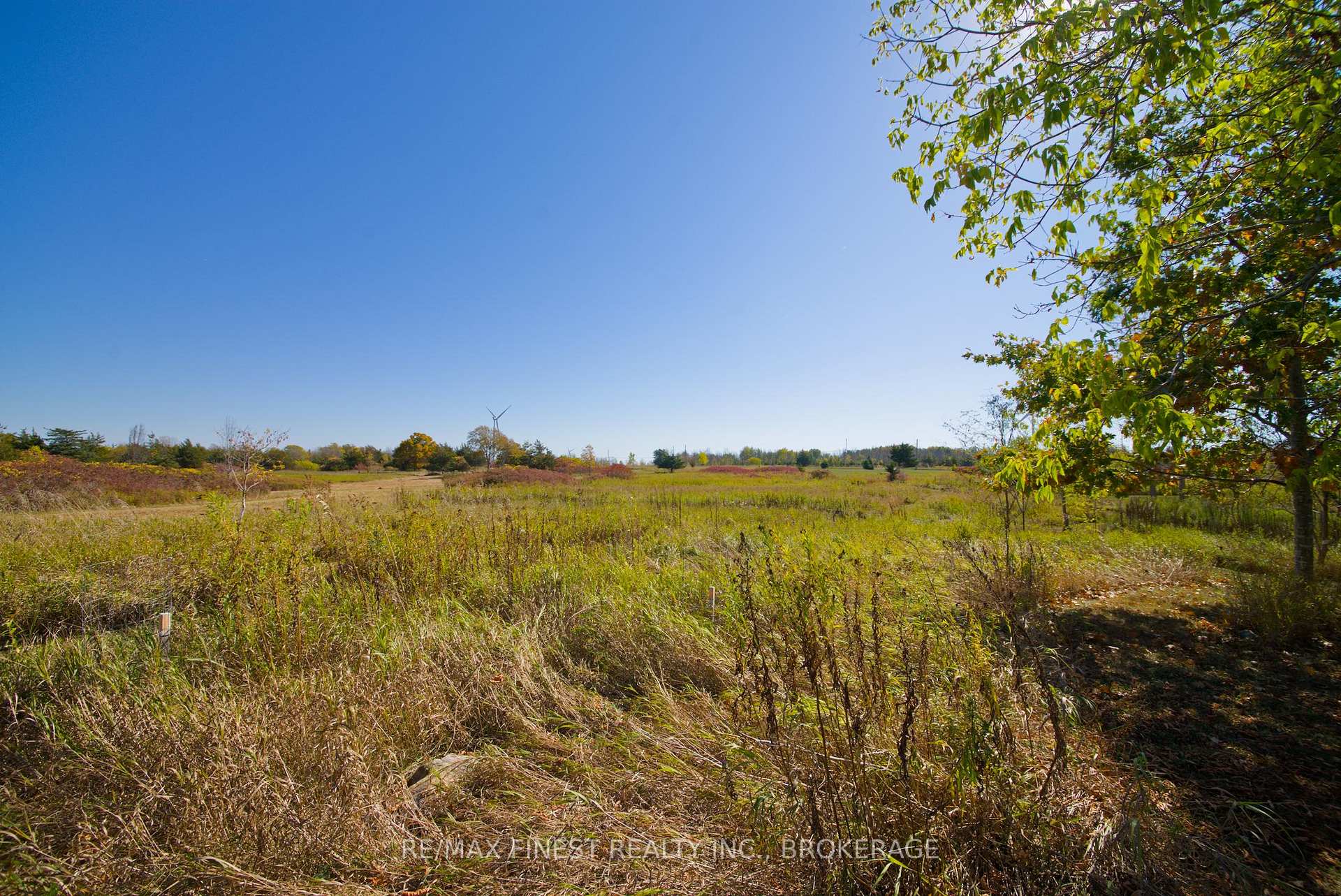Photo 7 of 8300 Front Road, Loyalist, Lennox and Addington - South — HOMEH