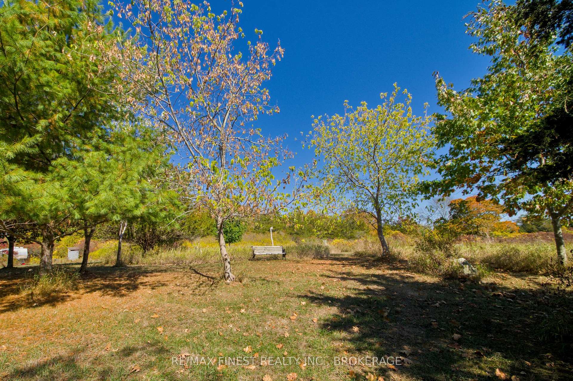 Photo 11 of 8300 Front Road, Loyalist, Lennox and Addington - South — HOMEH