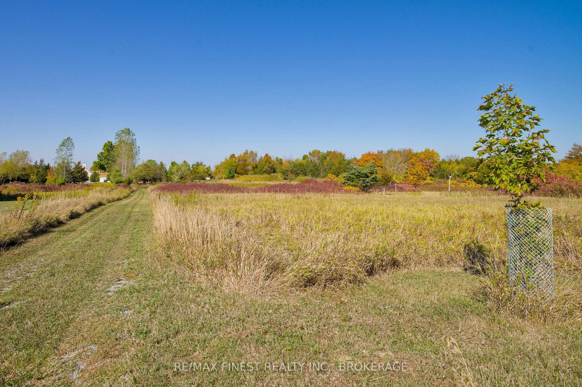 Photo 39 of 8300 Front Road, Loyalist, Lennox and Addington - South — HOMEH