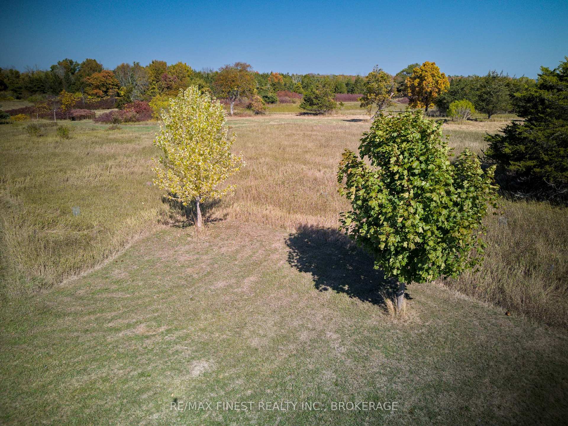 Photo 40 of 8300 Front Road, Loyalist, Lennox and Addington - South — HOMEH