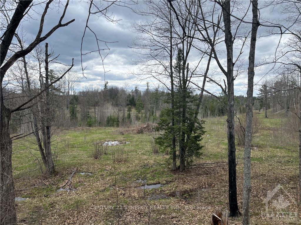 Photo 5 of 00 A Goshen Road, McNab/Braeside, Mcnab/Braeside Twps — HOMEH