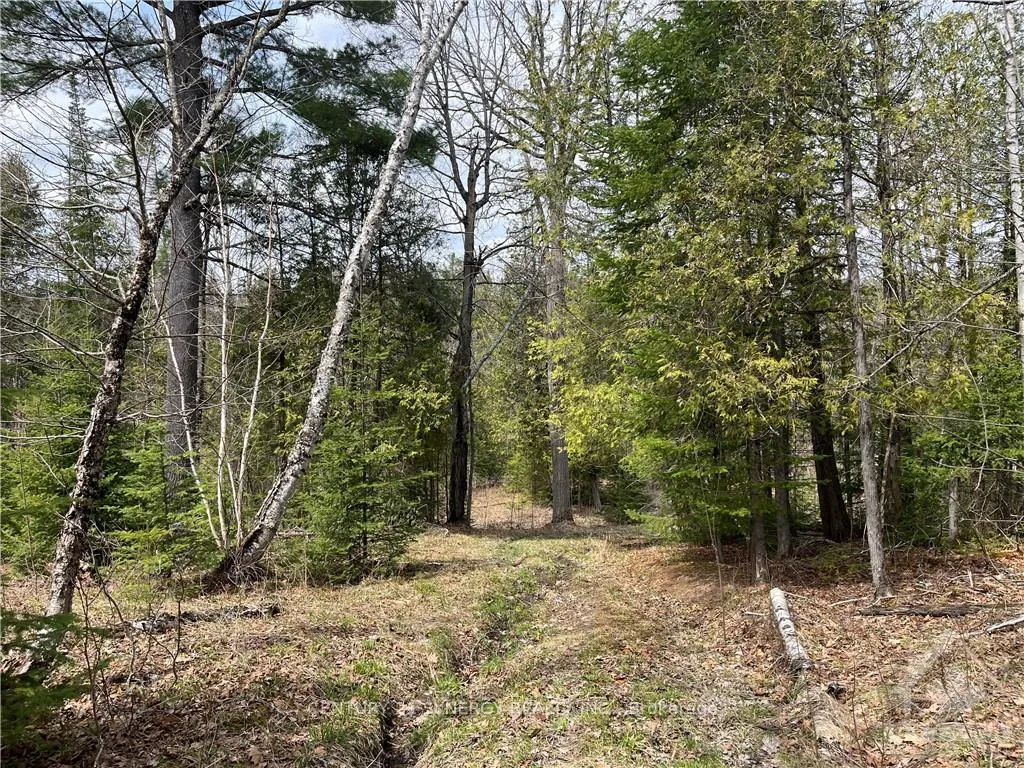 Photo 10 of 00 A Goshen Road, McNab/Braeside, Mcnab/Braeside Twps — HOMEH