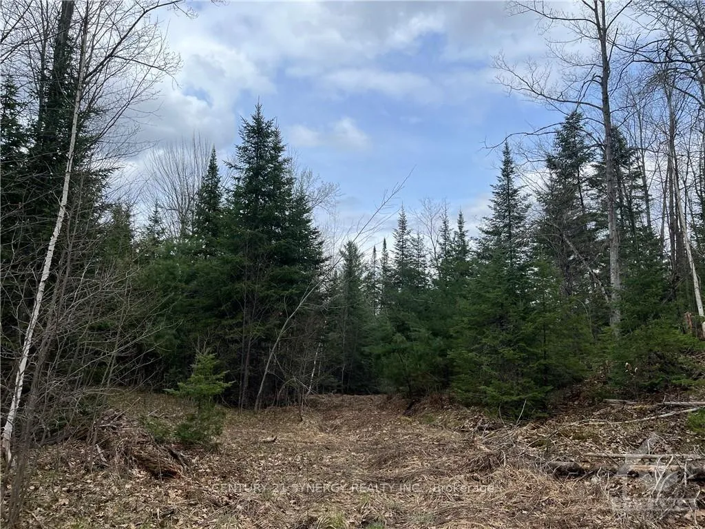 Photo 13 of 00 A Goshen Road, McNab/Braeside, Mcnab/Braeside Twps — HOMEH