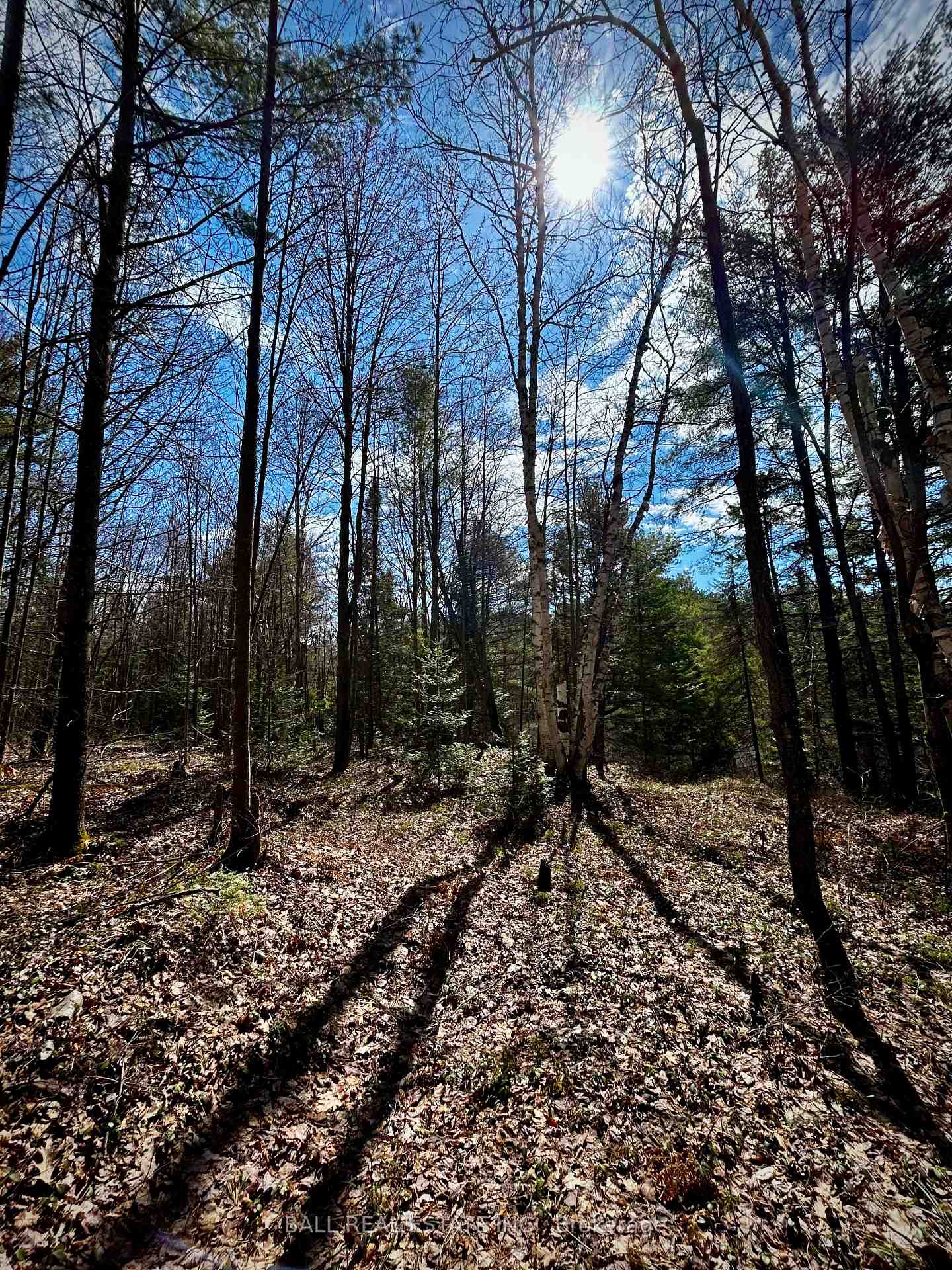 Photo 11 of Lot 15 Con 15, Highlands East, Cardiff Ward — HOMEH