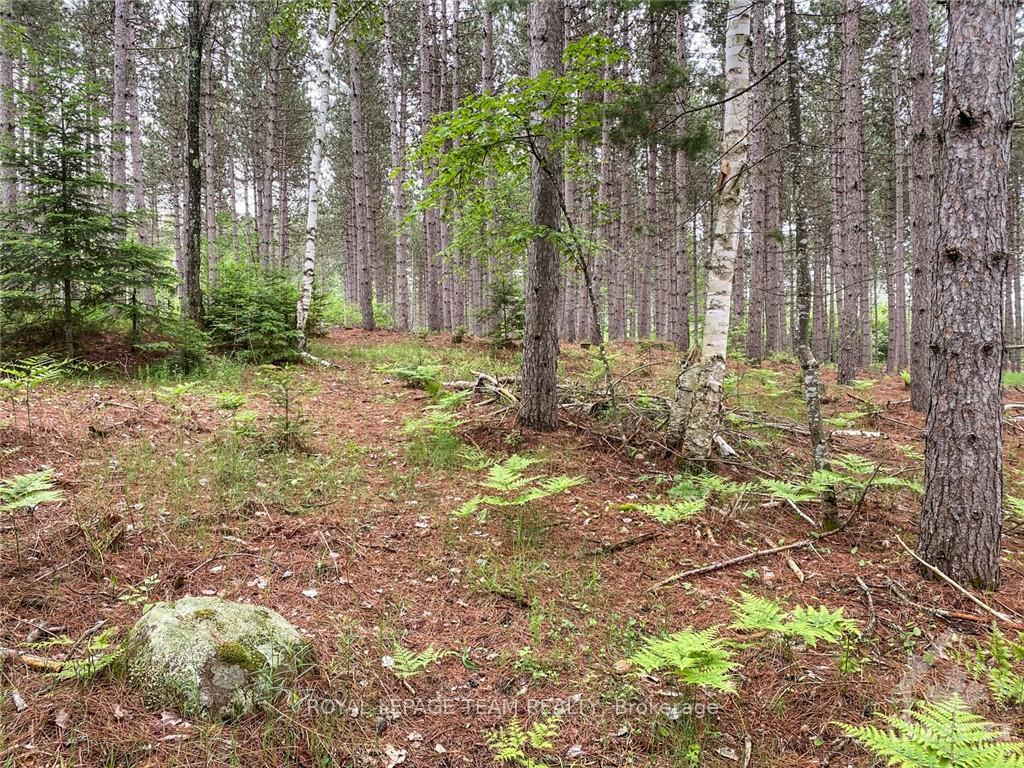Photo 5 of 1477 Watsons Corners Road, Lanark Highlands, Lanark Highlands (Lanark) Twp — HOMEH