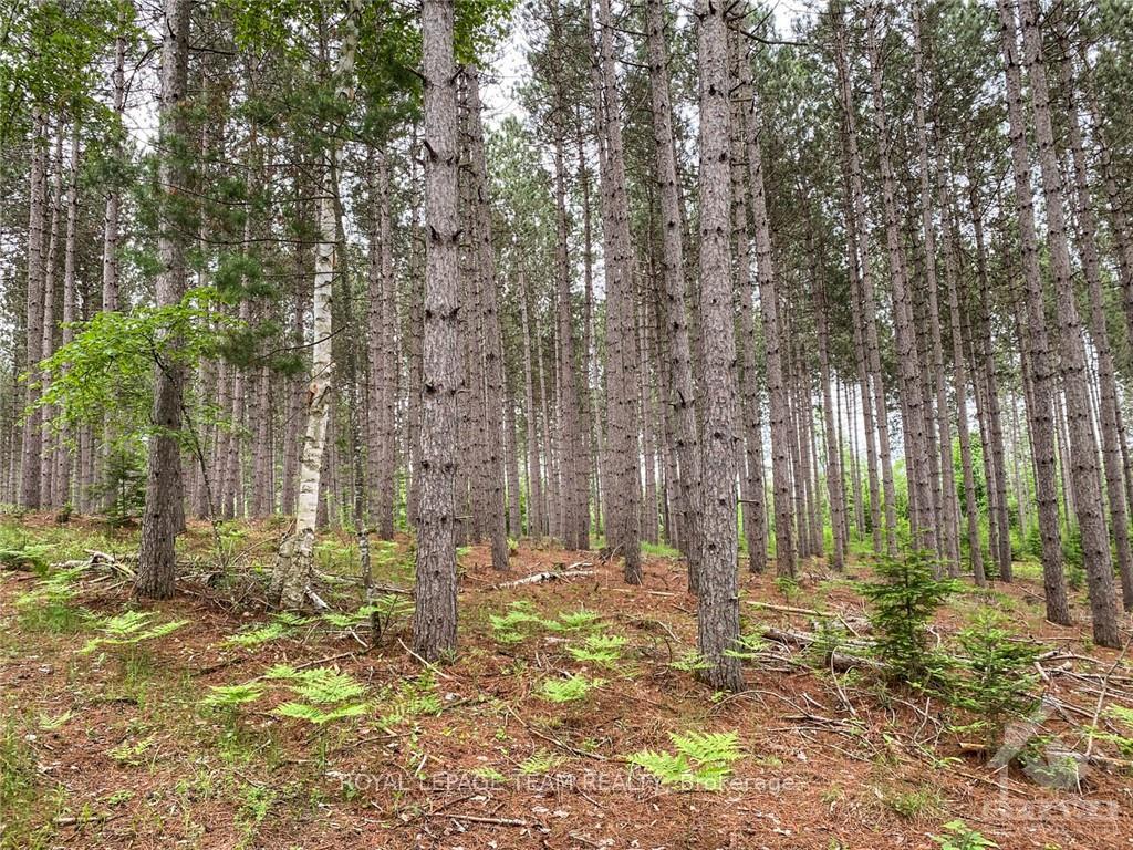 Photo 6 of 1477 Watsons Corners Road, Lanark Highlands, Lanark Highlands (Lanark) Twp — HOMEH