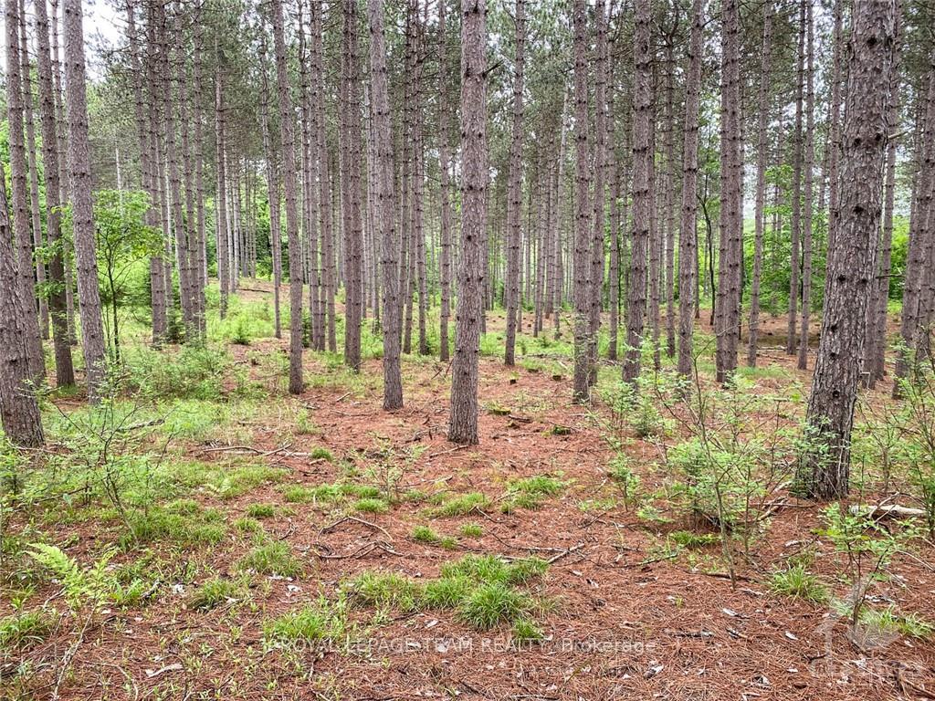 Photo 7 of 1477 Watsons Corners Road, Lanark Highlands, Lanark Highlands (Lanark) Twp — HOMEH
