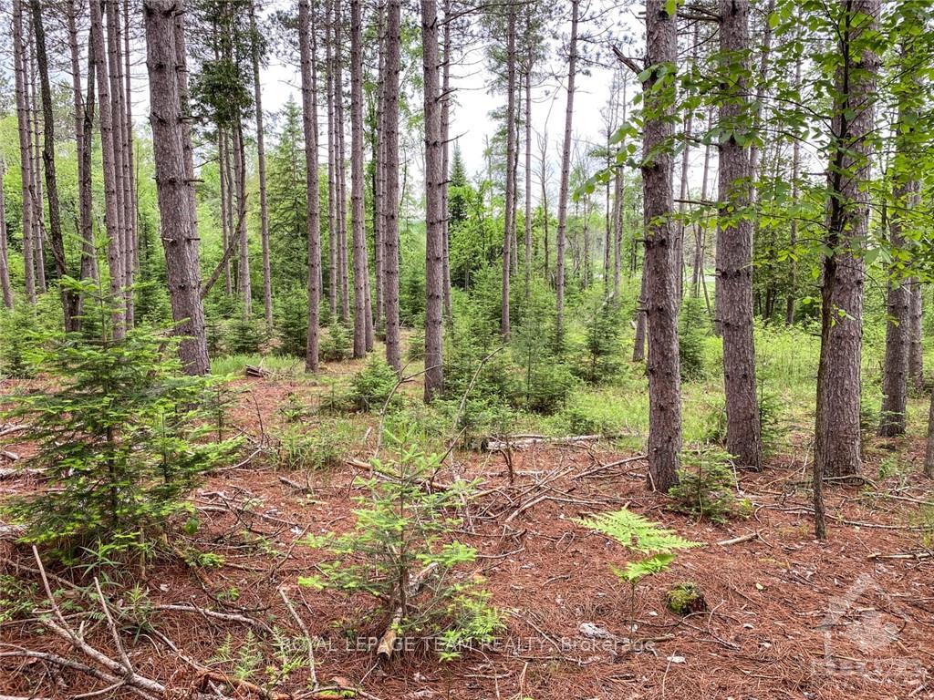 Photo 9 of 1477 Watsons Corners Road, Lanark Highlands, Lanark Highlands (Lanark) Twp — HOMEH