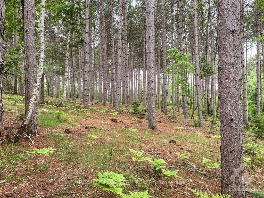 Photo 10 of 1477 Watsons Corners Road, Lanark Highlands, Lanark Highlands (Lanark) Twp — HOMEH