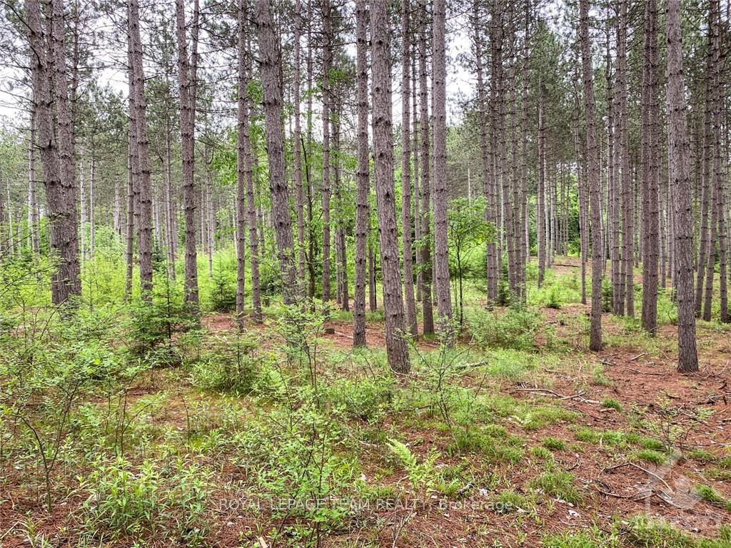Photo 11 of 1477 Watsons Corners Road, Lanark Highlands, Lanark Highlands (Lanark) Twp — HOMEH