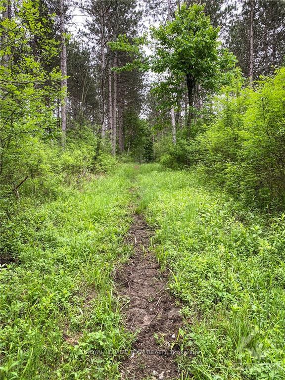 Photo 12 of 1477 Watsons Corners Road, Lanark Highlands, Lanark Highlands (Lanark) Twp — HOMEH