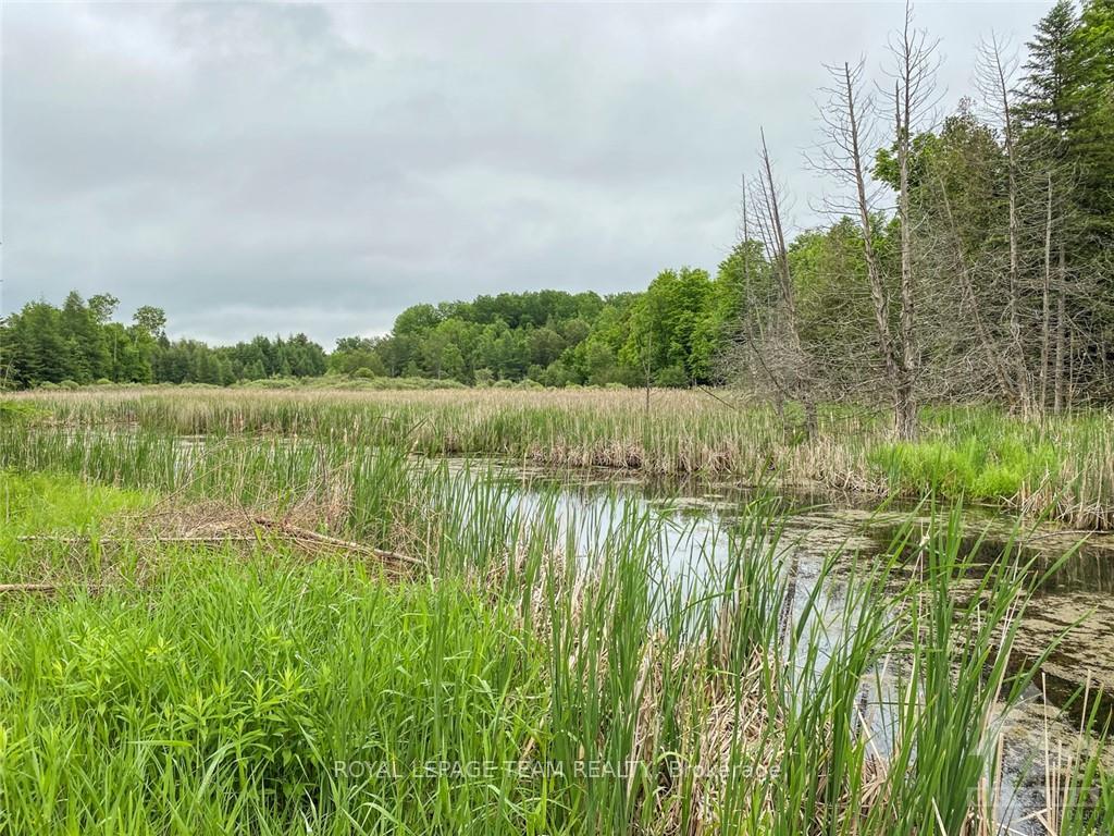 Photo 14 of 1477 Watsons Corners Road, Lanark Highlands, Lanark Highlands (Lanark) Twp — HOMEH