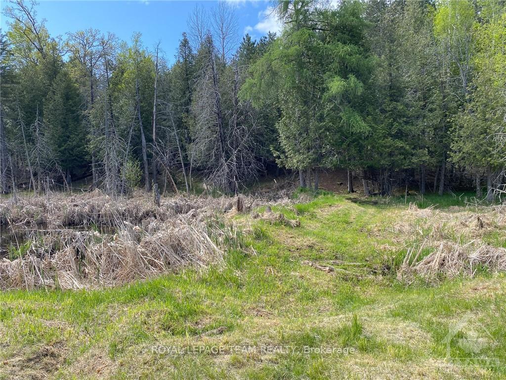 Photo 16 of 1477 Watsons Corners Road, Lanark Highlands, Lanark Highlands (Lanark) Twp — HOMEH