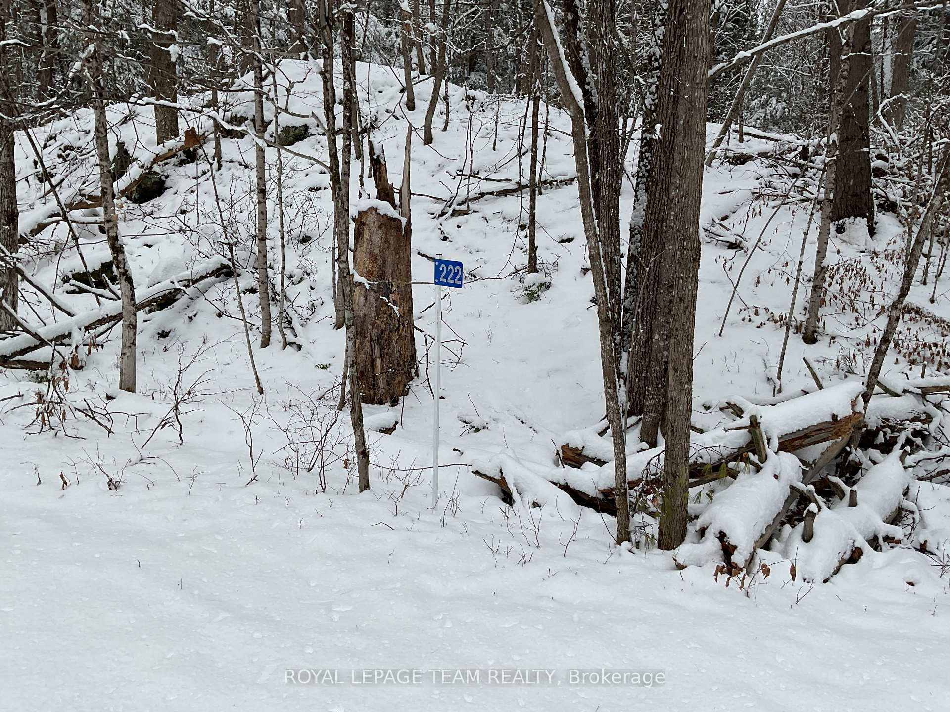 Photo 1 of 222 Harding Road N, Lanark Highlands, Lanark Highlands (Lanark) Twp — HOMEH