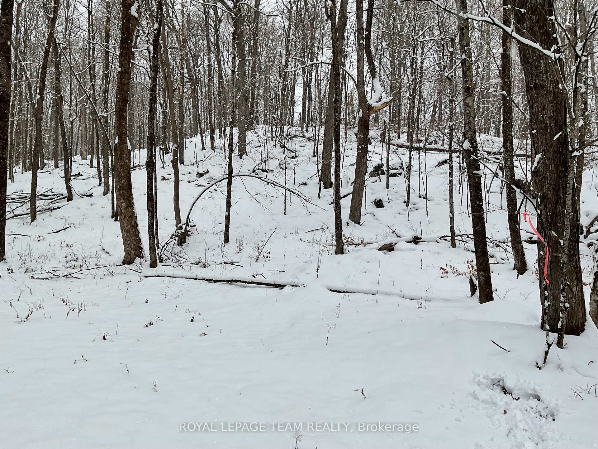 Photo 2 of 222 Harding Road N, Lanark Highlands, Lanark Highlands (Lanark) Twp — HOMEH