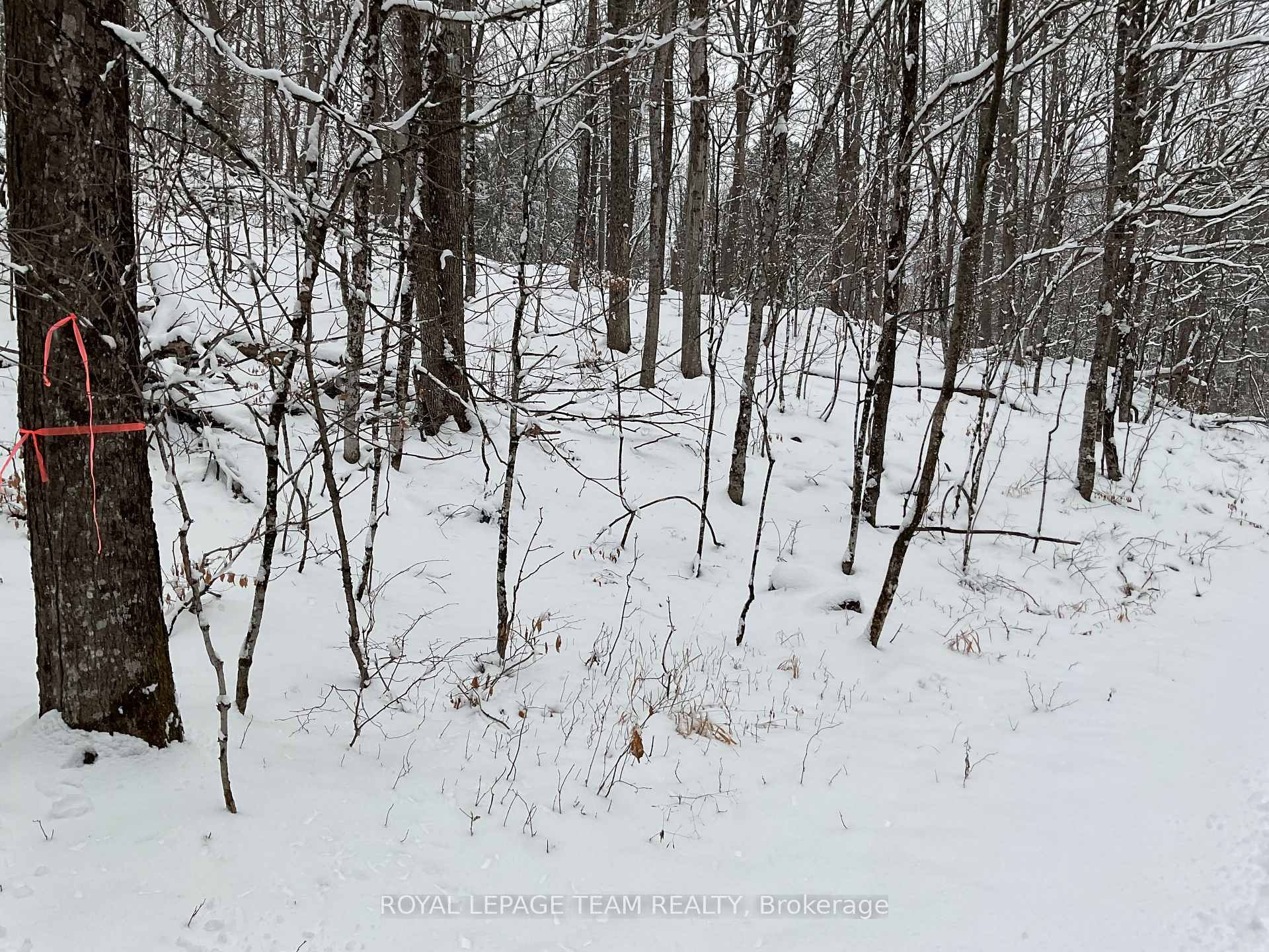 Photo 3 of 222 Harding Road N, Lanark Highlands, Lanark Highlands (Lanark) Twp — HOMEH
