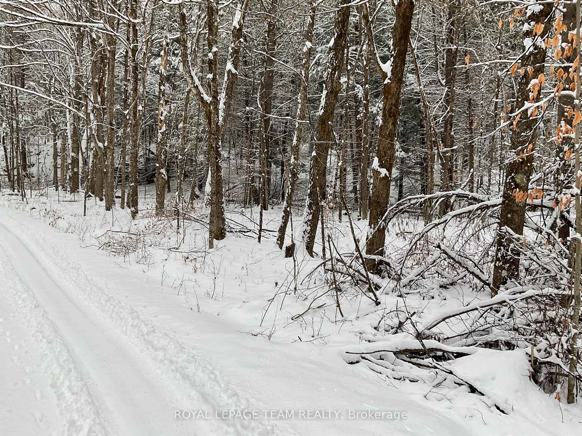 Photo 5 of 222 Harding Road N, Lanark Highlands, Lanark Highlands (Lanark) Twp — HOMEH