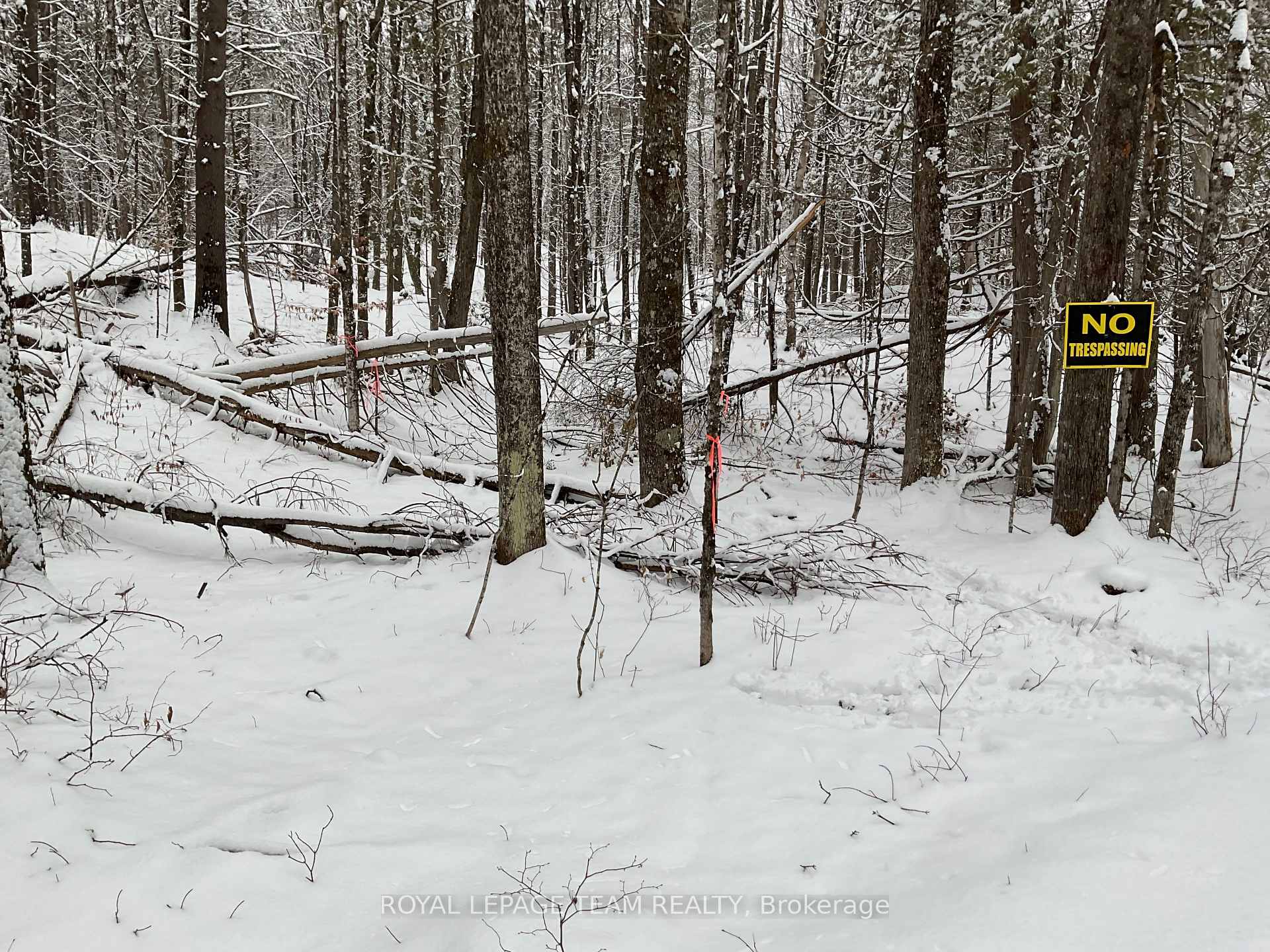 Photo 6 of 222 Harding Road N, Lanark Highlands, Lanark Highlands (Lanark) Twp — HOMEH